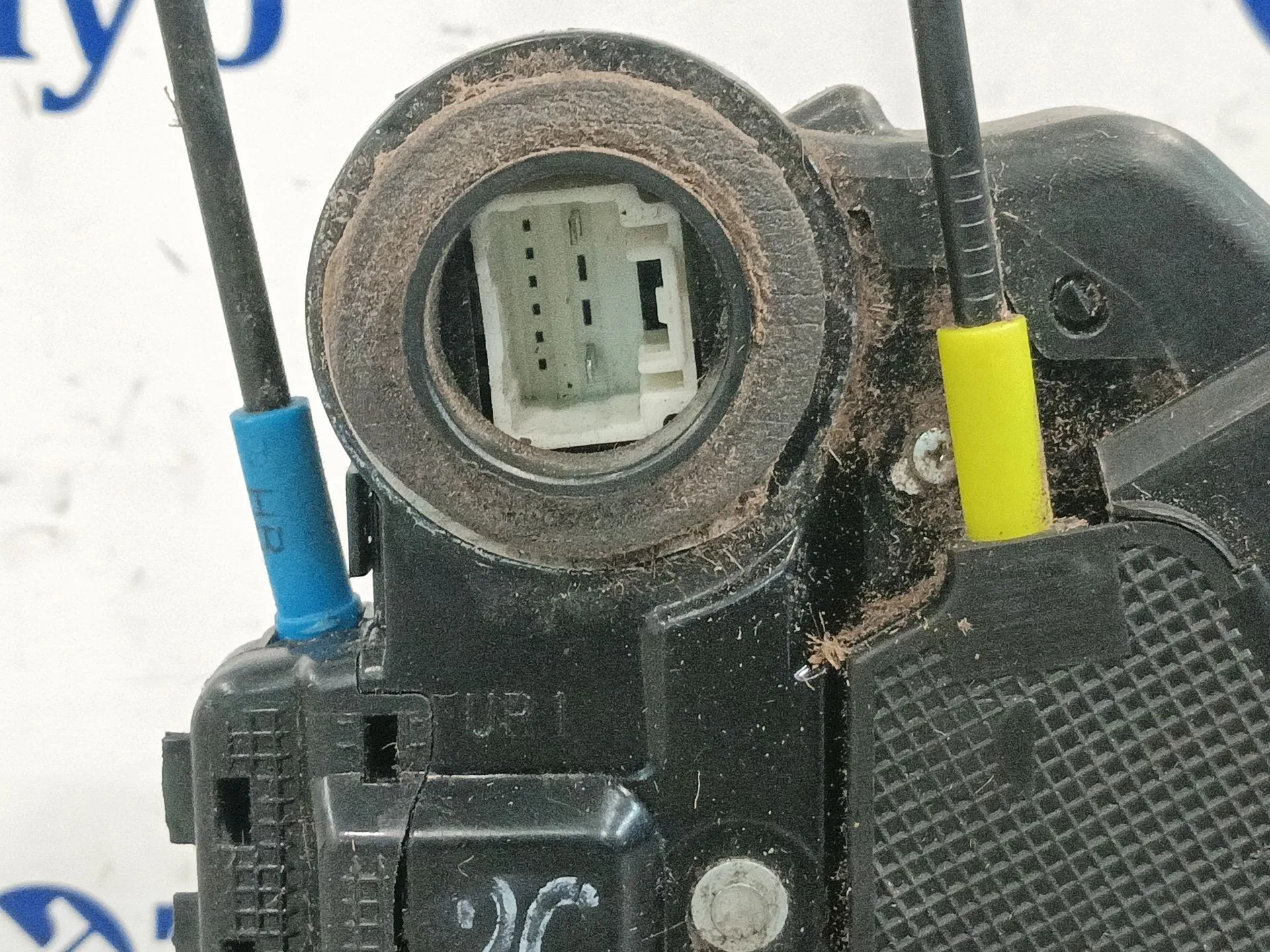 Cerradura Puerta Trasera Derecha para Toyota Auris