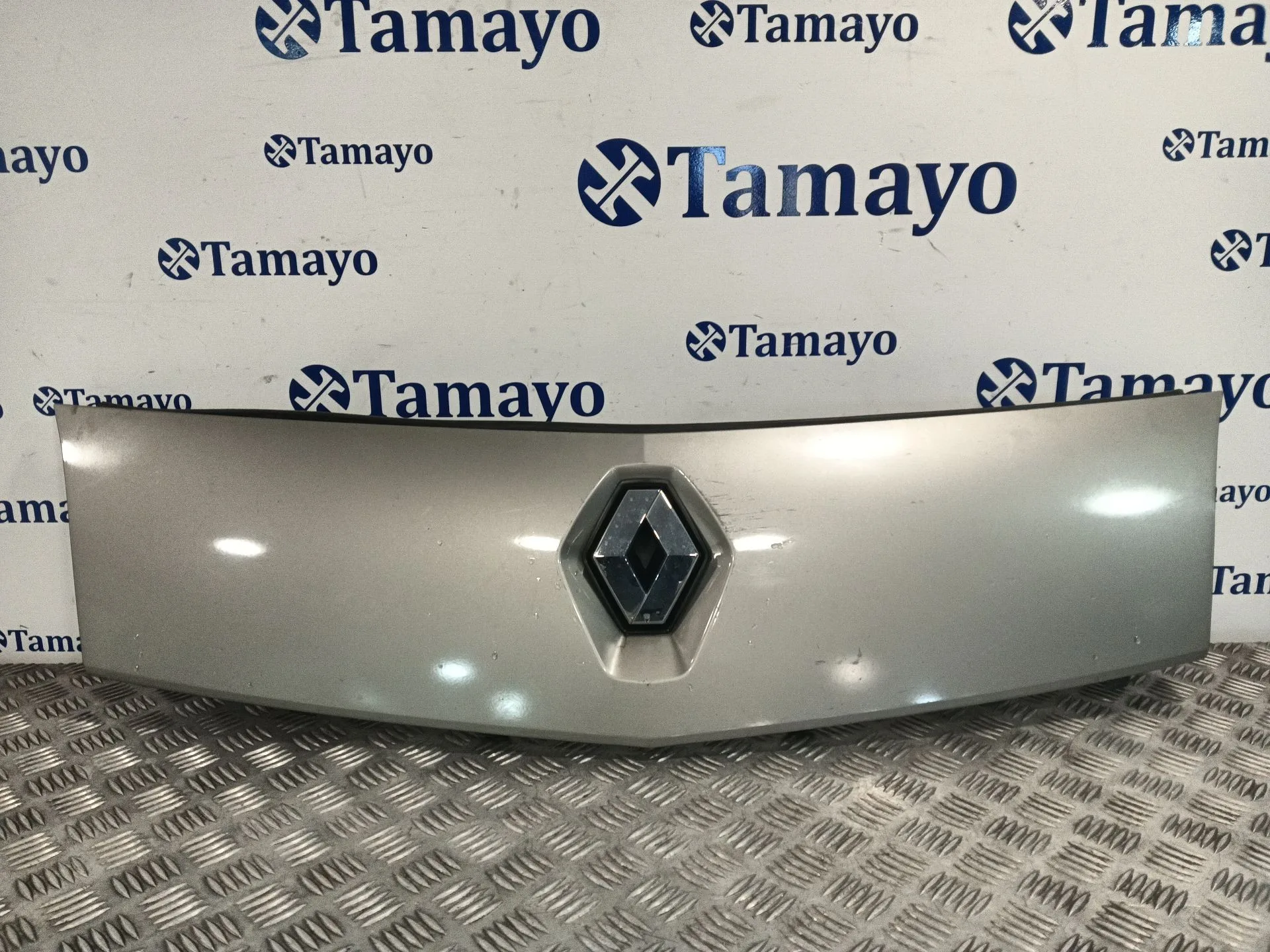 Rejilla Delantera para Renault Kangoo / Grand Kangoo Ii (Kw0/1_)