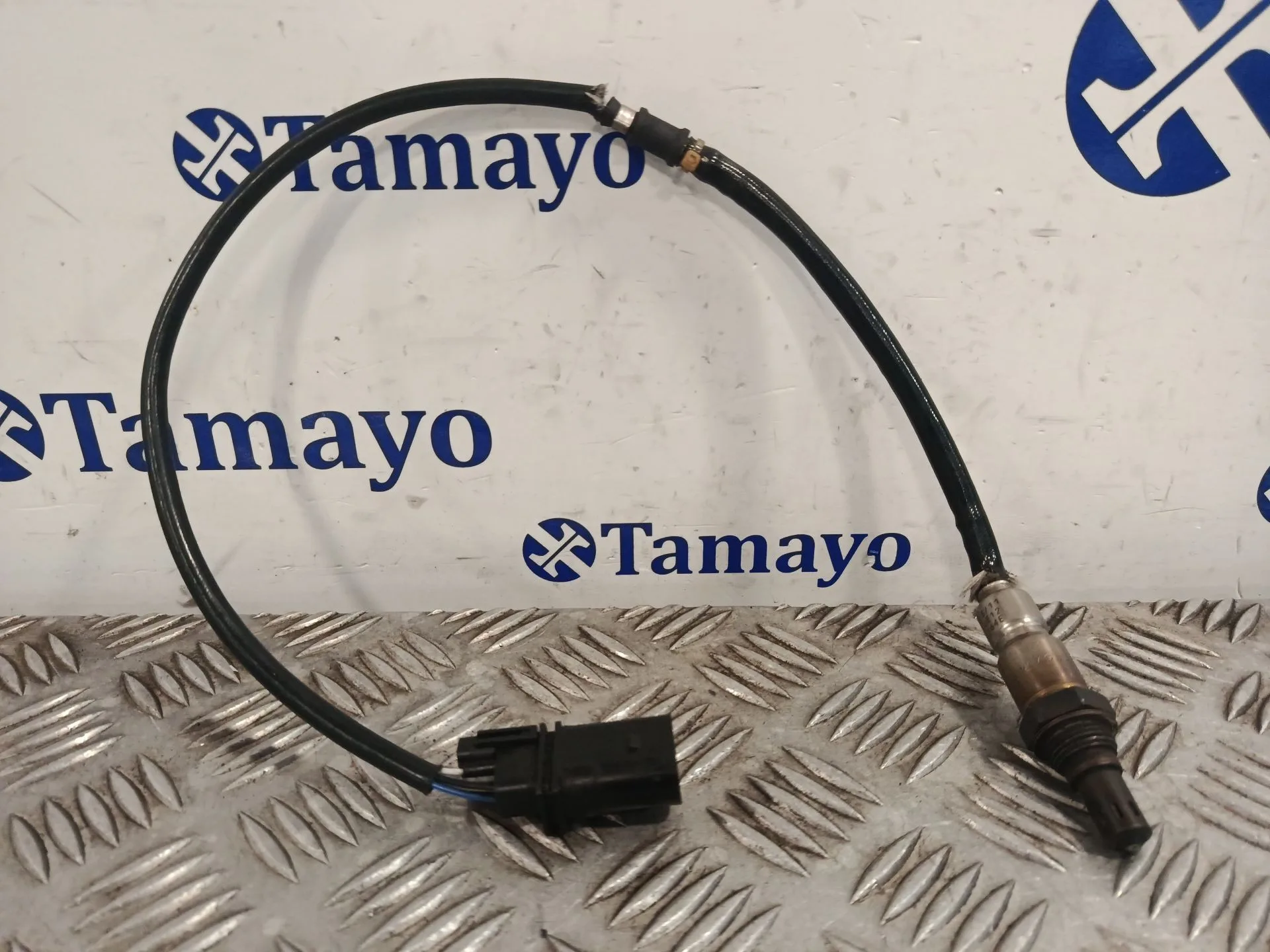 Sonda Lambda para Seat Leon (1P1)