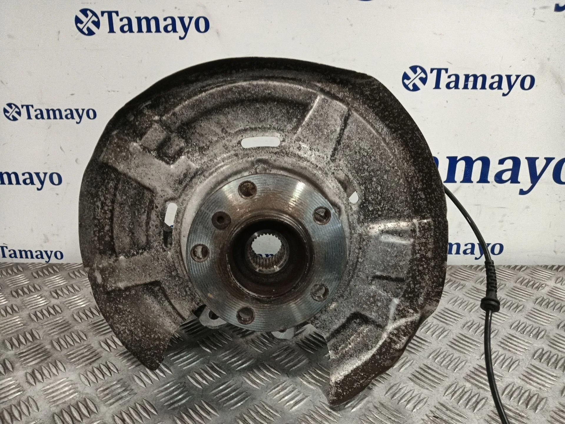 Mangueta Trasera Izquierda para Bmw 5 Touring (F11)
