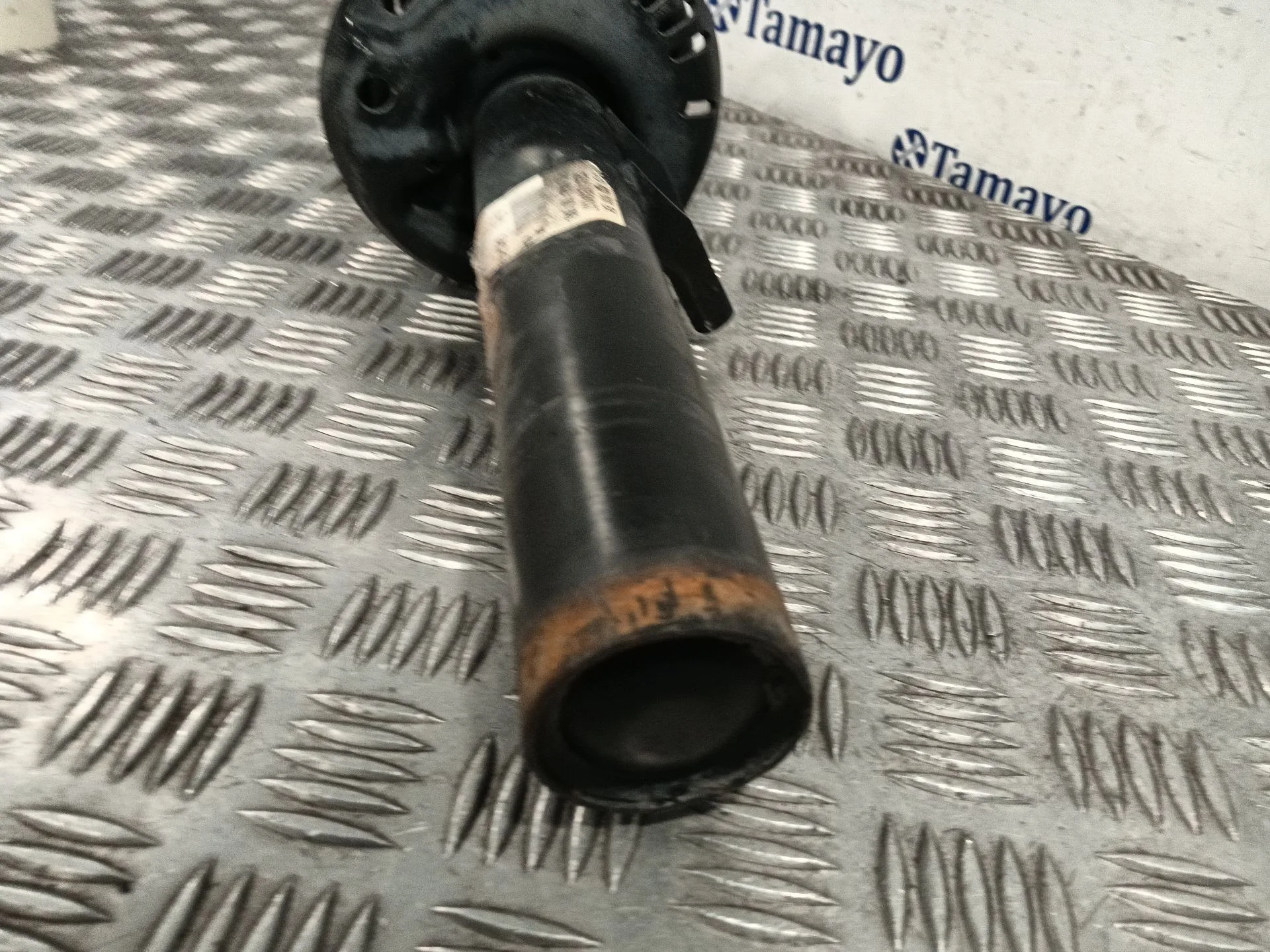 Amortiguador Delantero Izquierdo para Seat Toledo (5P2)