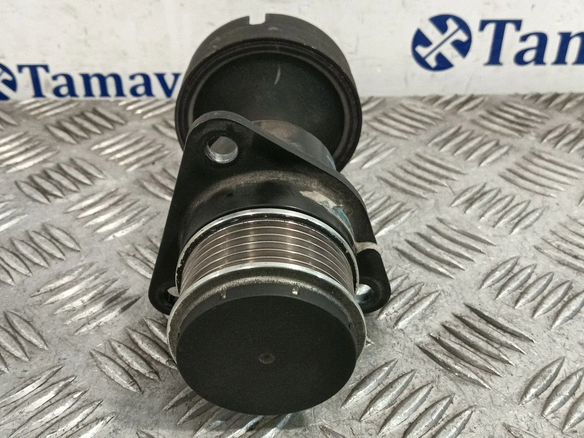 Polea Alternador para Ford Focus C-Max (Dm2)