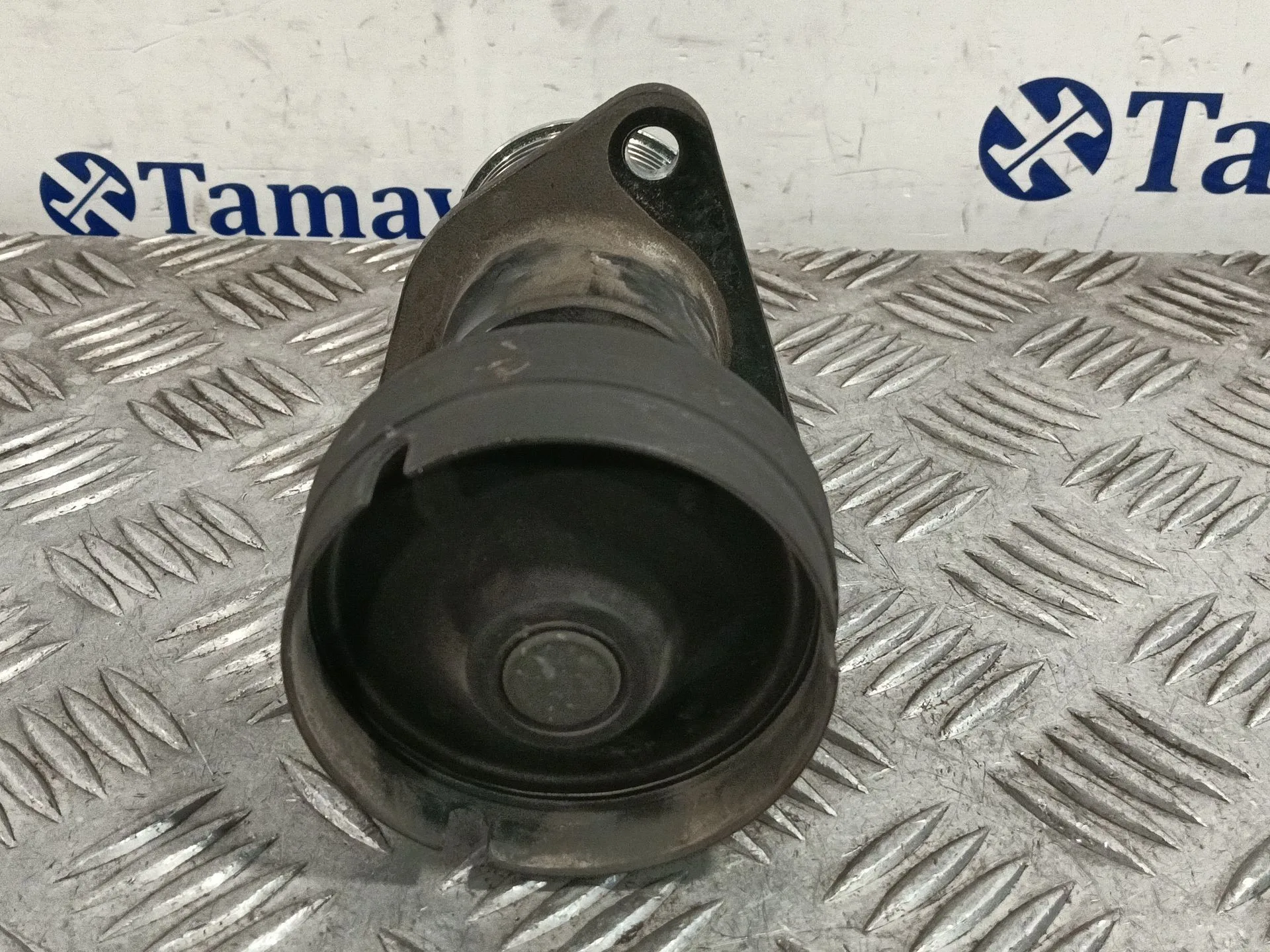 Polea Alternador para Ford Focus C-Max (Dm2)