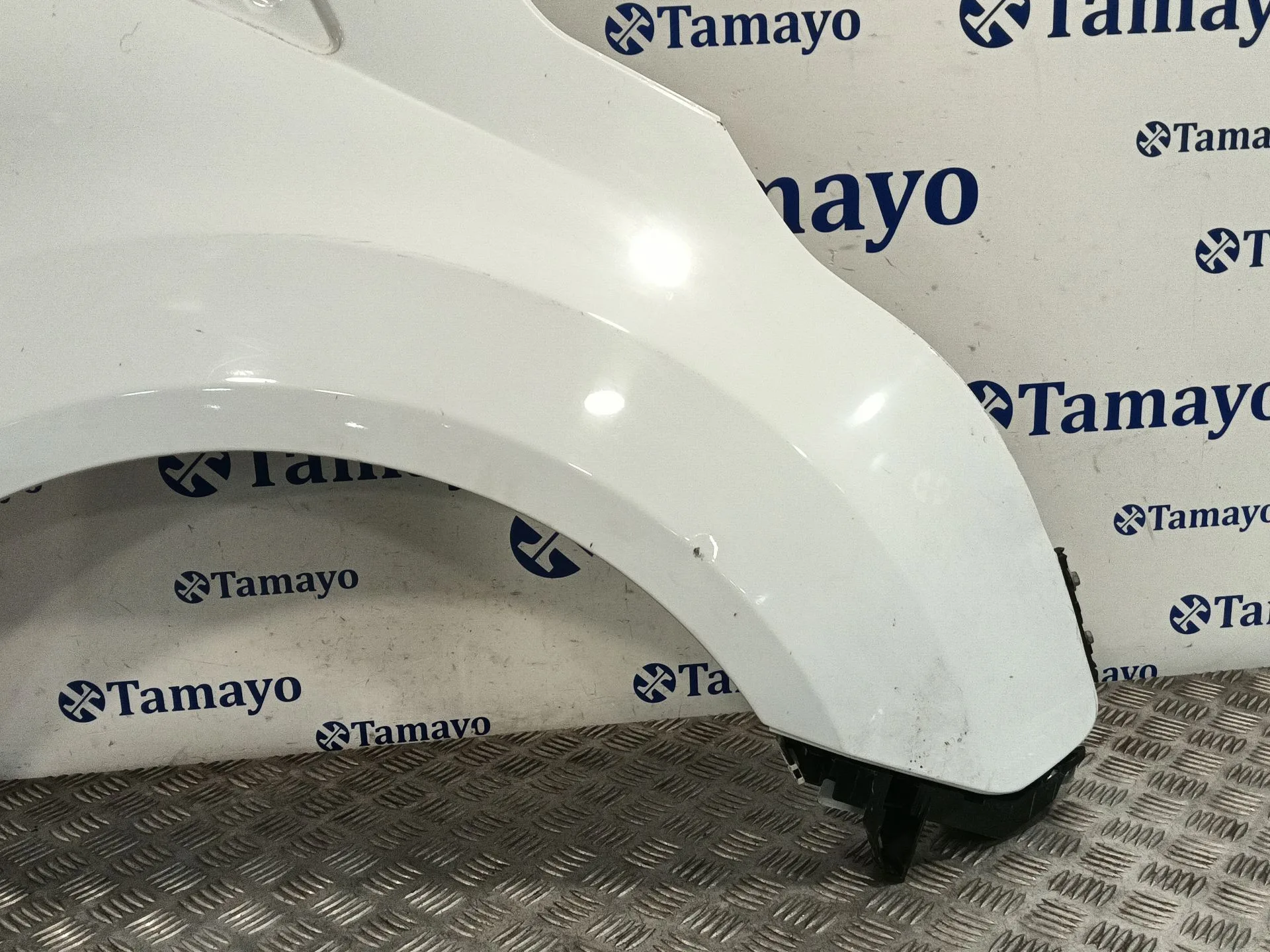 Aleta Delantera Derecha para Ford Transit Connect V408 Furgoneta/Monovolumen