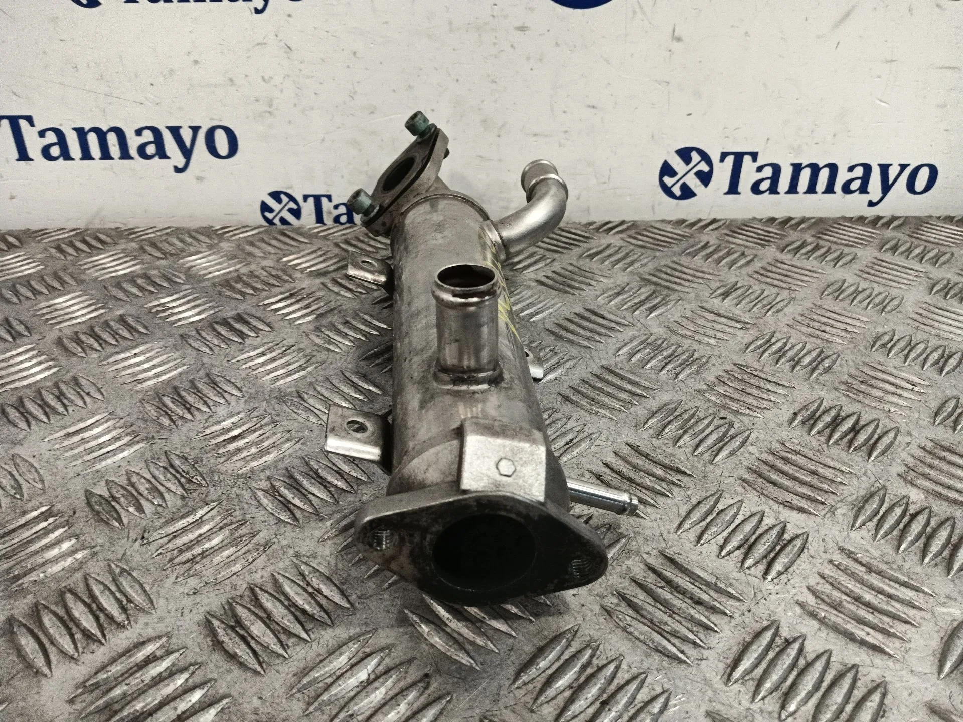 Enfriador Gases para Volkswagen Golf Iv (1J1)