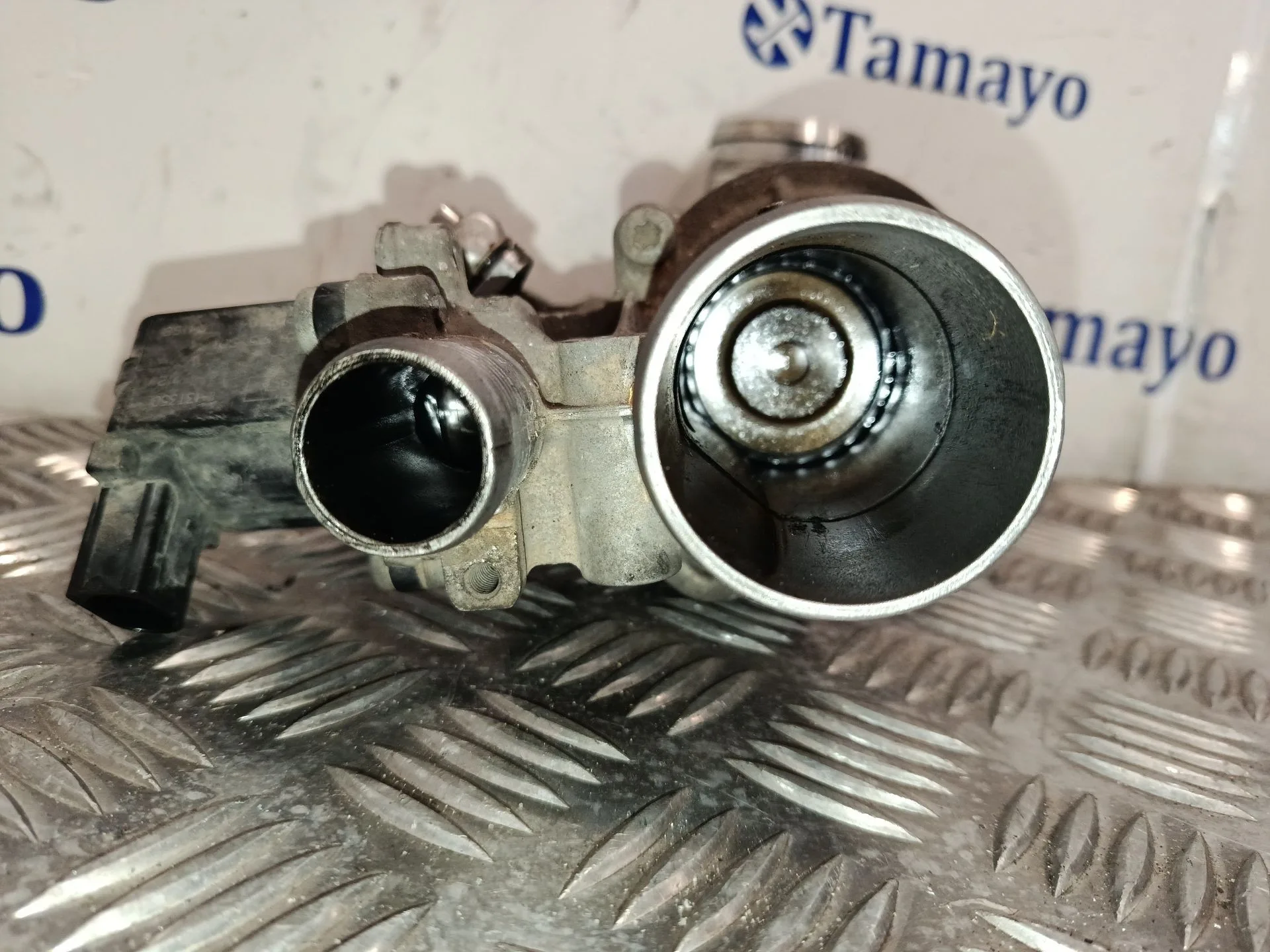 Valvula Egr para Land Rover Discovery Iv (L319)