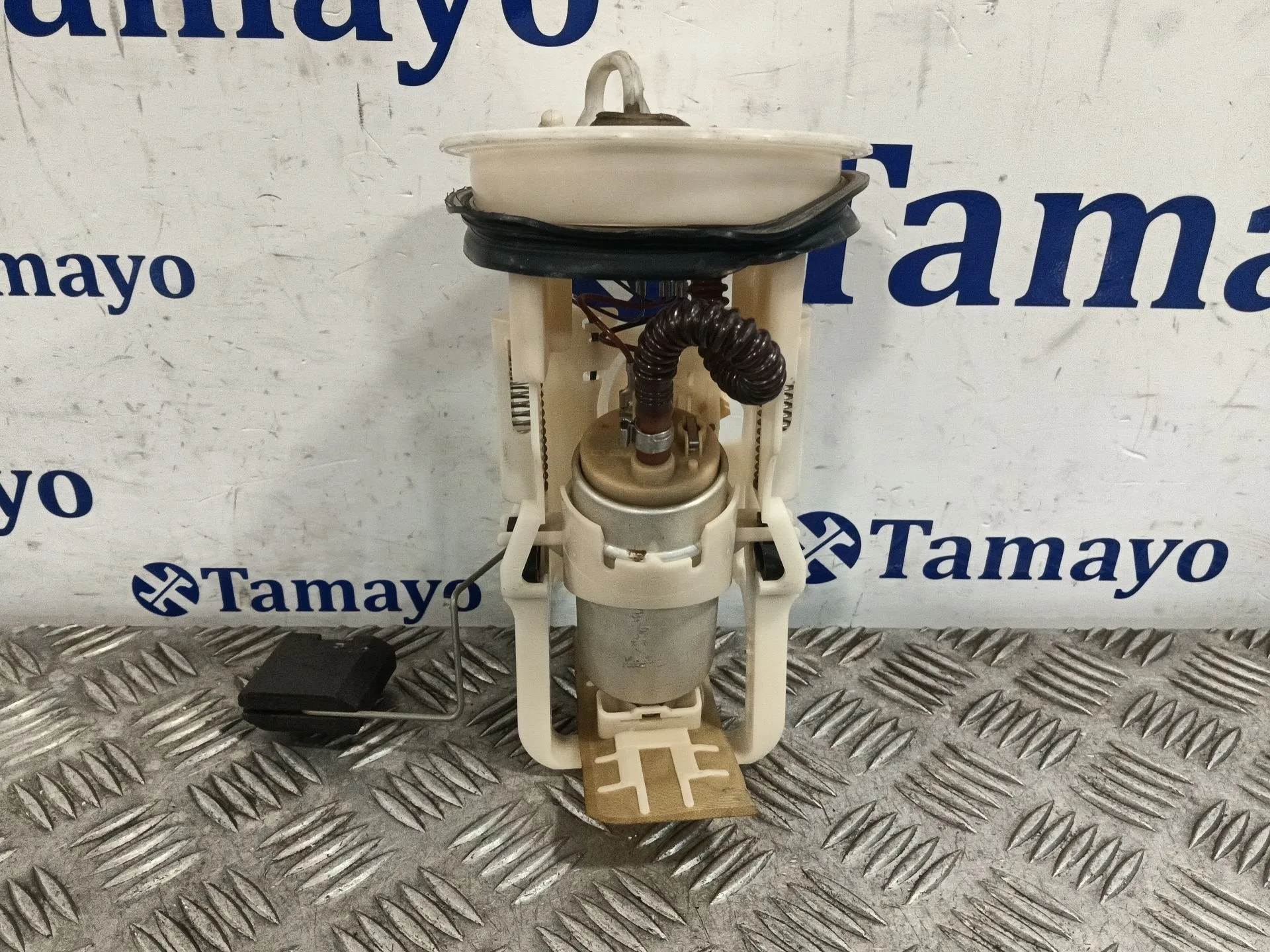Aforador para Bmw 3 (E46)