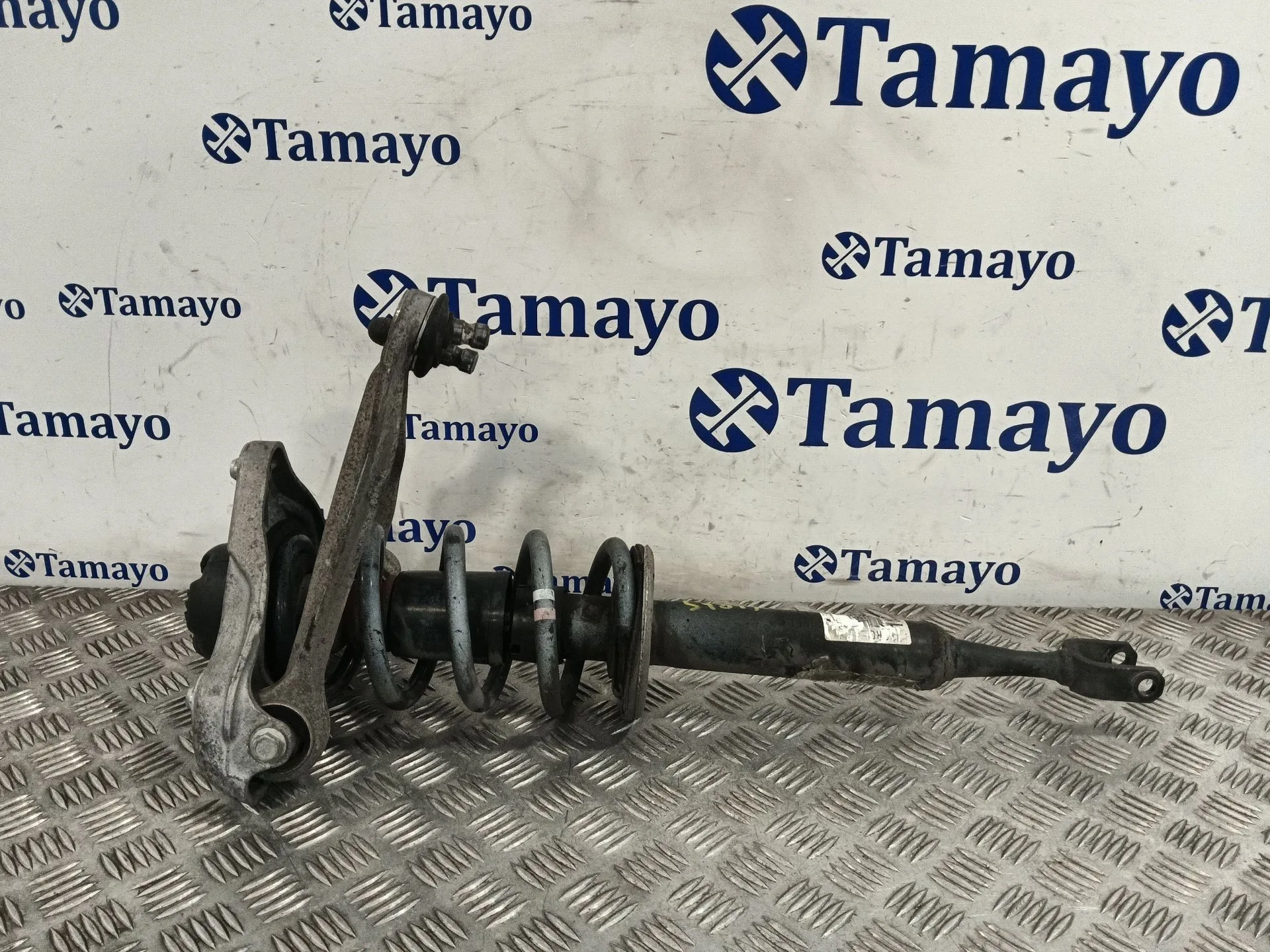 Amortiguador Delantero Izquierdo para Seat Exeo (3R2)