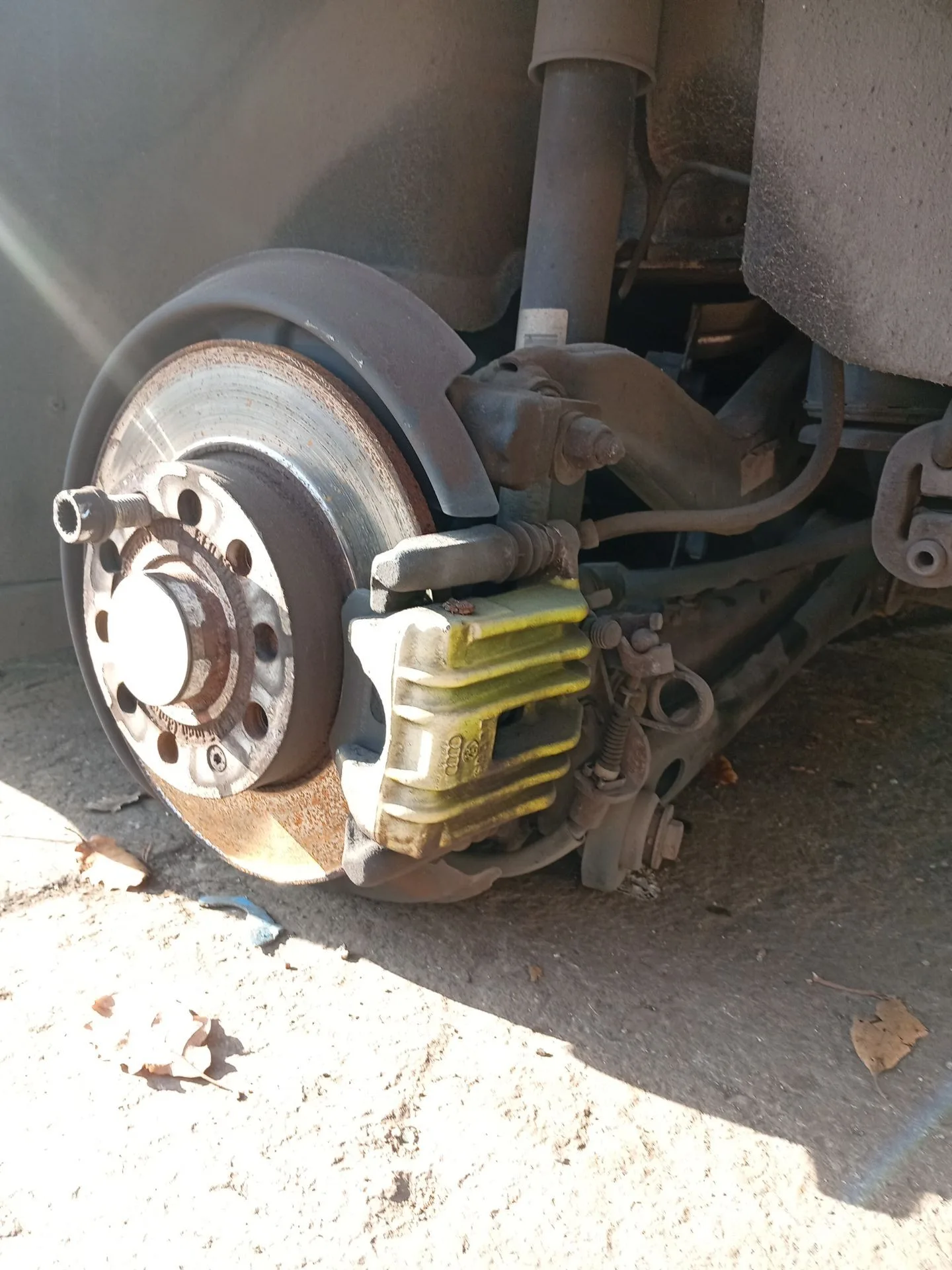 Pinza Freno Trasera Izquierda para Seat Exeo (3R2)