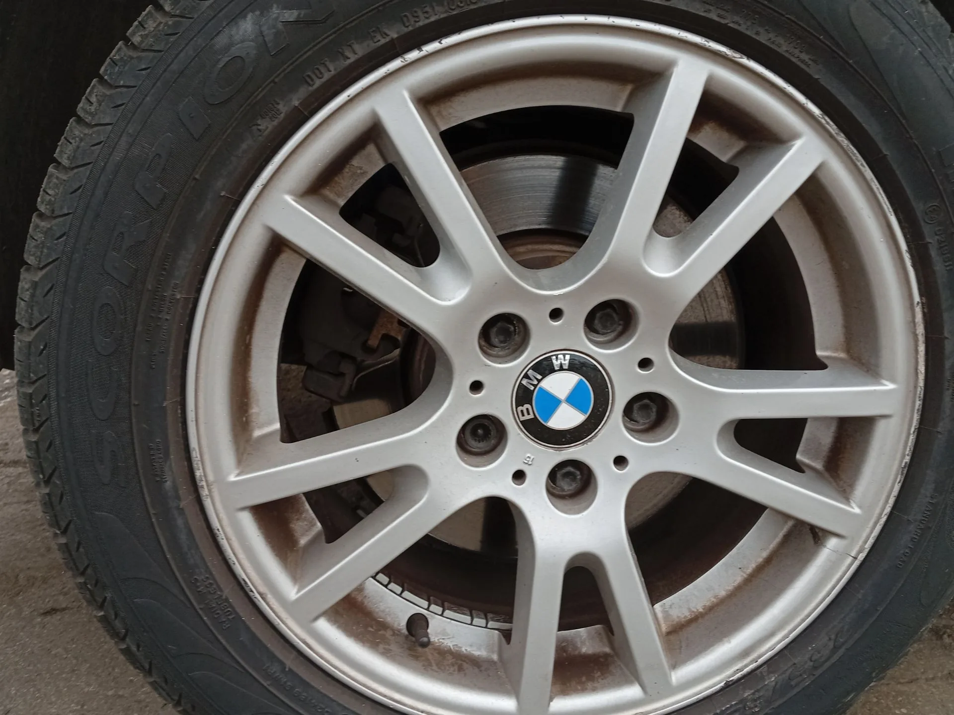 Pinza Freno Trasera Derecha para Bmw X3 (E83)