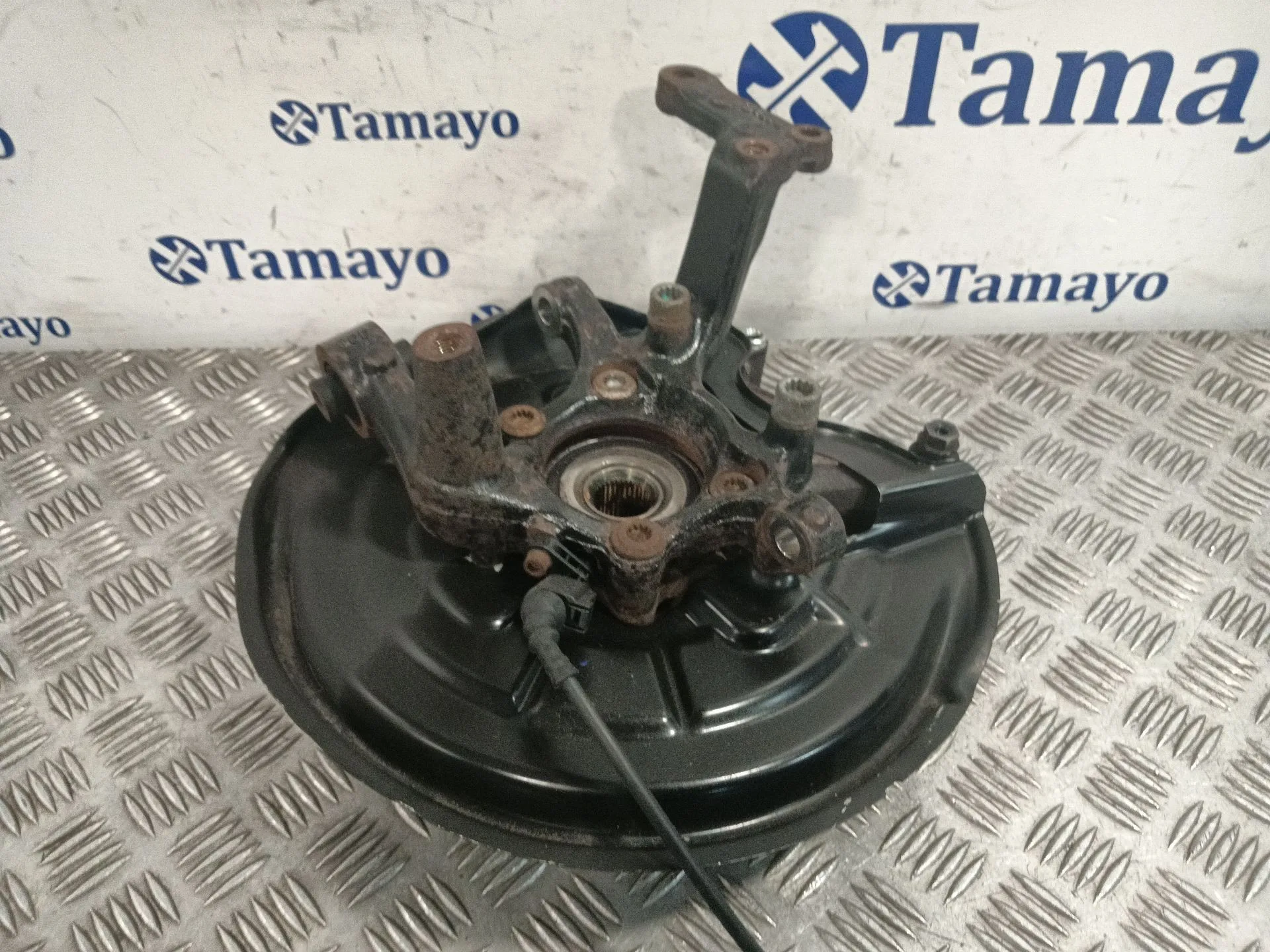 Mangueta Trasera Derecha para Audi A3 (8P)