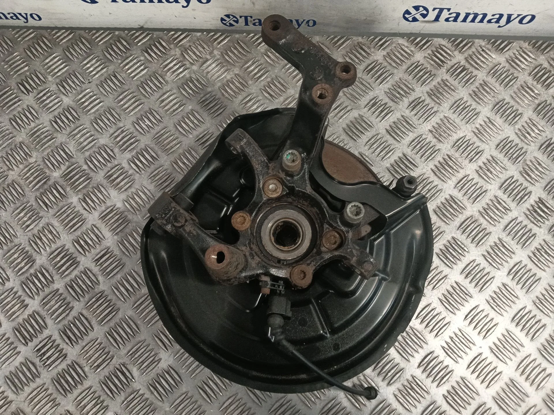 Mangueta Trasera Derecha para Audi A3 (8P)