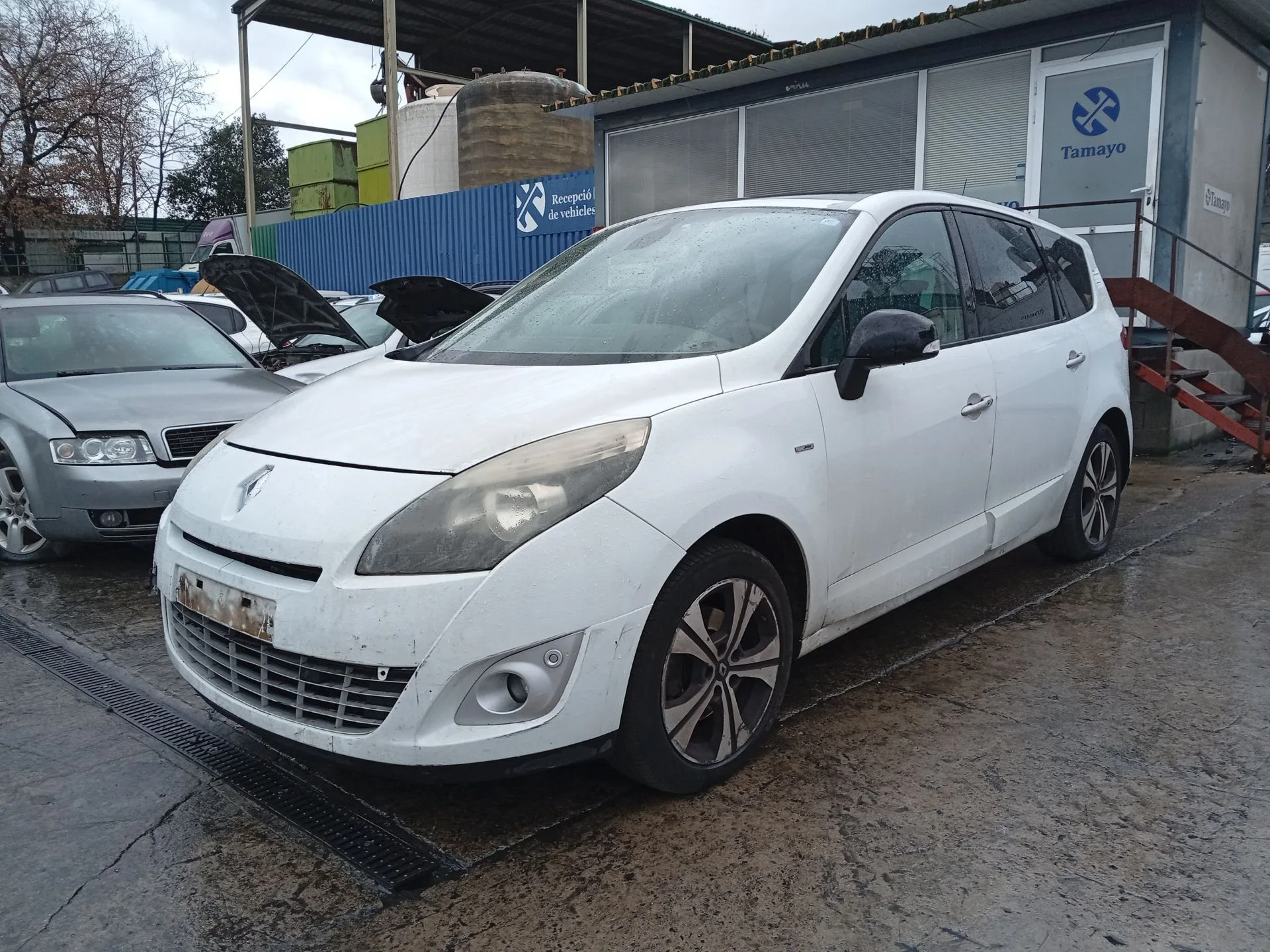 Barra Estabilizadora Delantera para Renault Grand Scenic Iii (Jz0/1_)