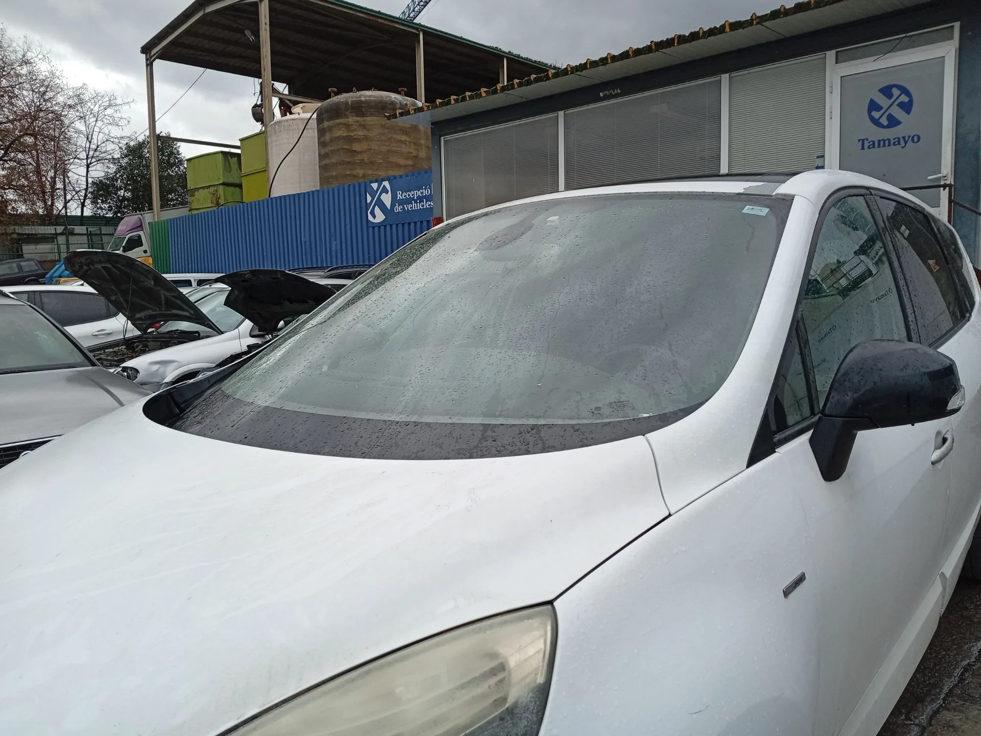 Parabrisas para Renault Grand Scenic Iii (Jz0/1_)