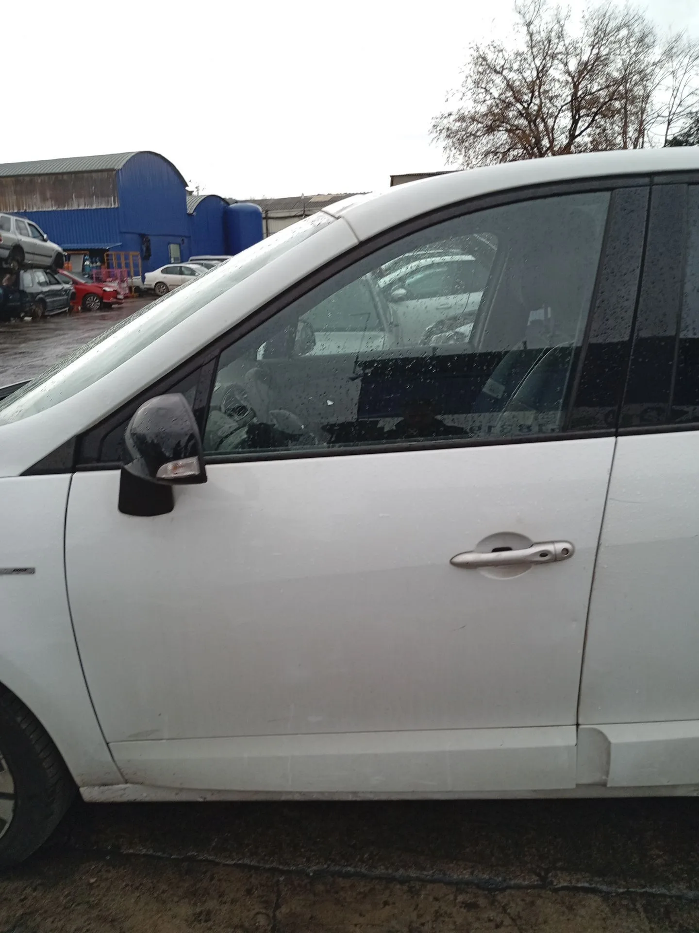Puerta Delantera Izquierda para Renault Grand Scenic Iii (Jz0/1_)