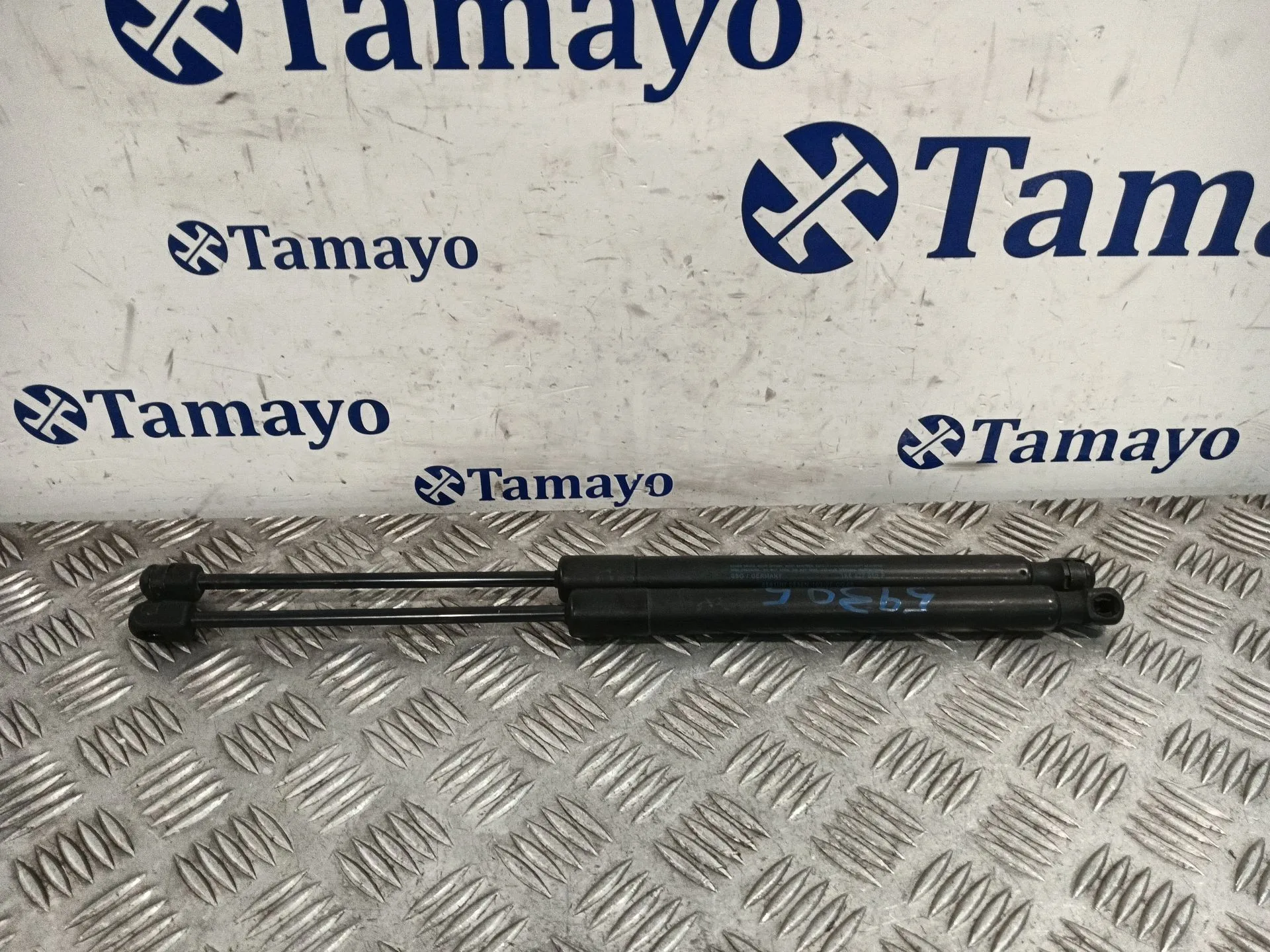 Amortiguador Porton Trasero Derecho para Volkswagen Golf V (1K1)