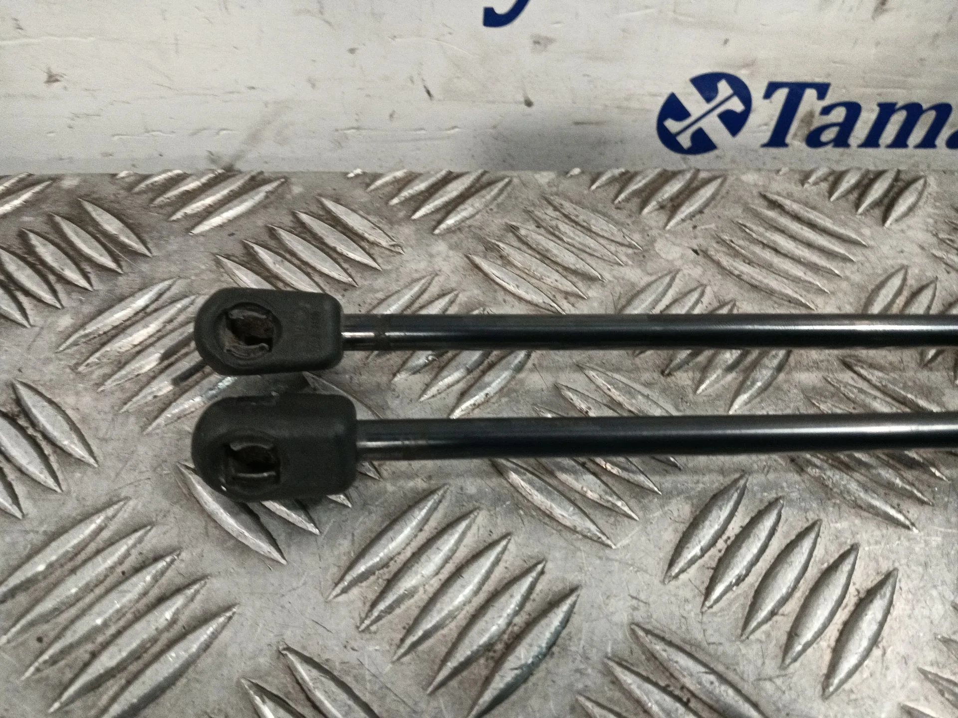 Amortiguador Porton Trasero Derecho para Volkswagen Golf V (1K1)