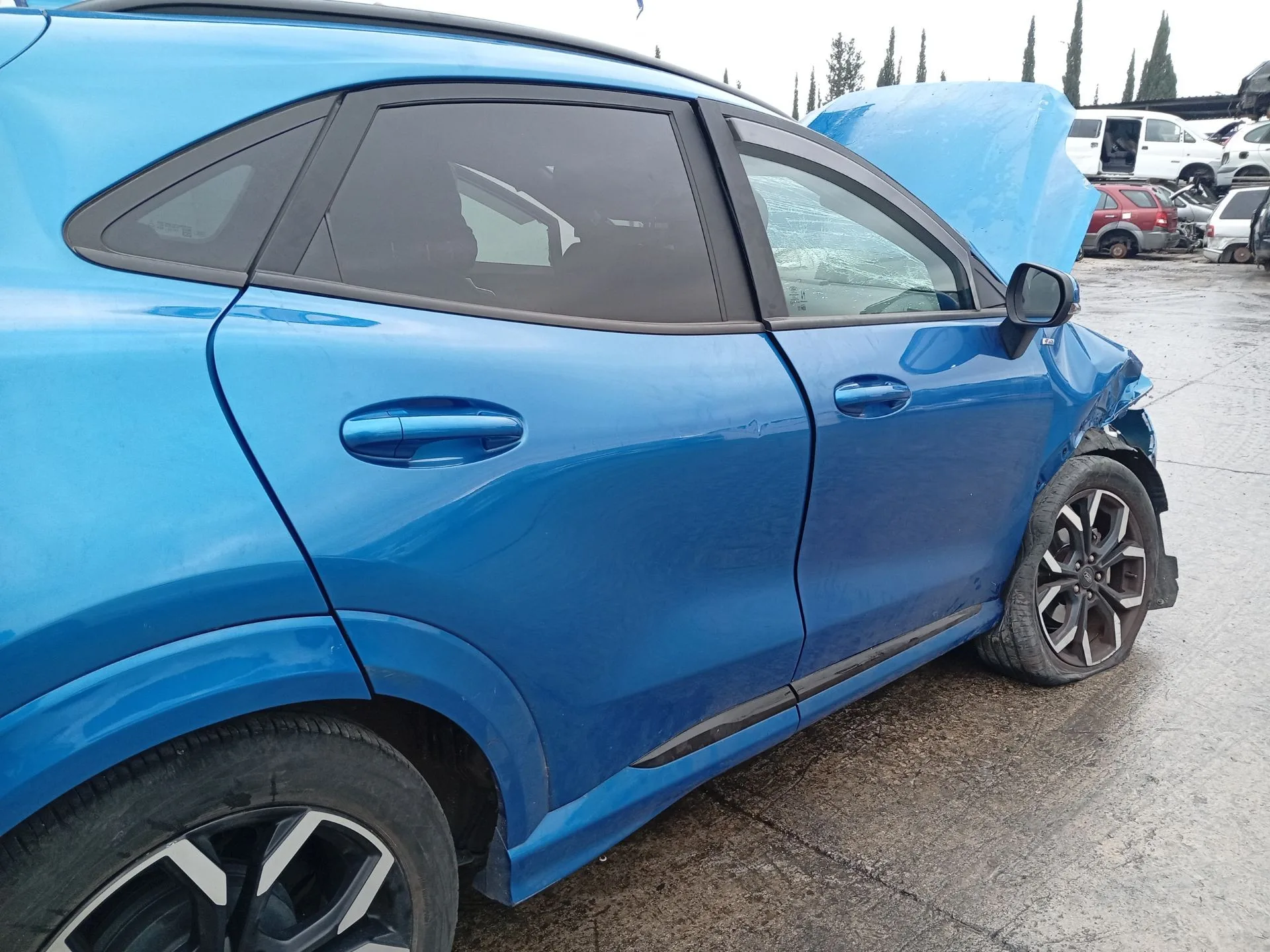 Puerta Trasera Derecha para Ford Puma (J2K, Cf7)