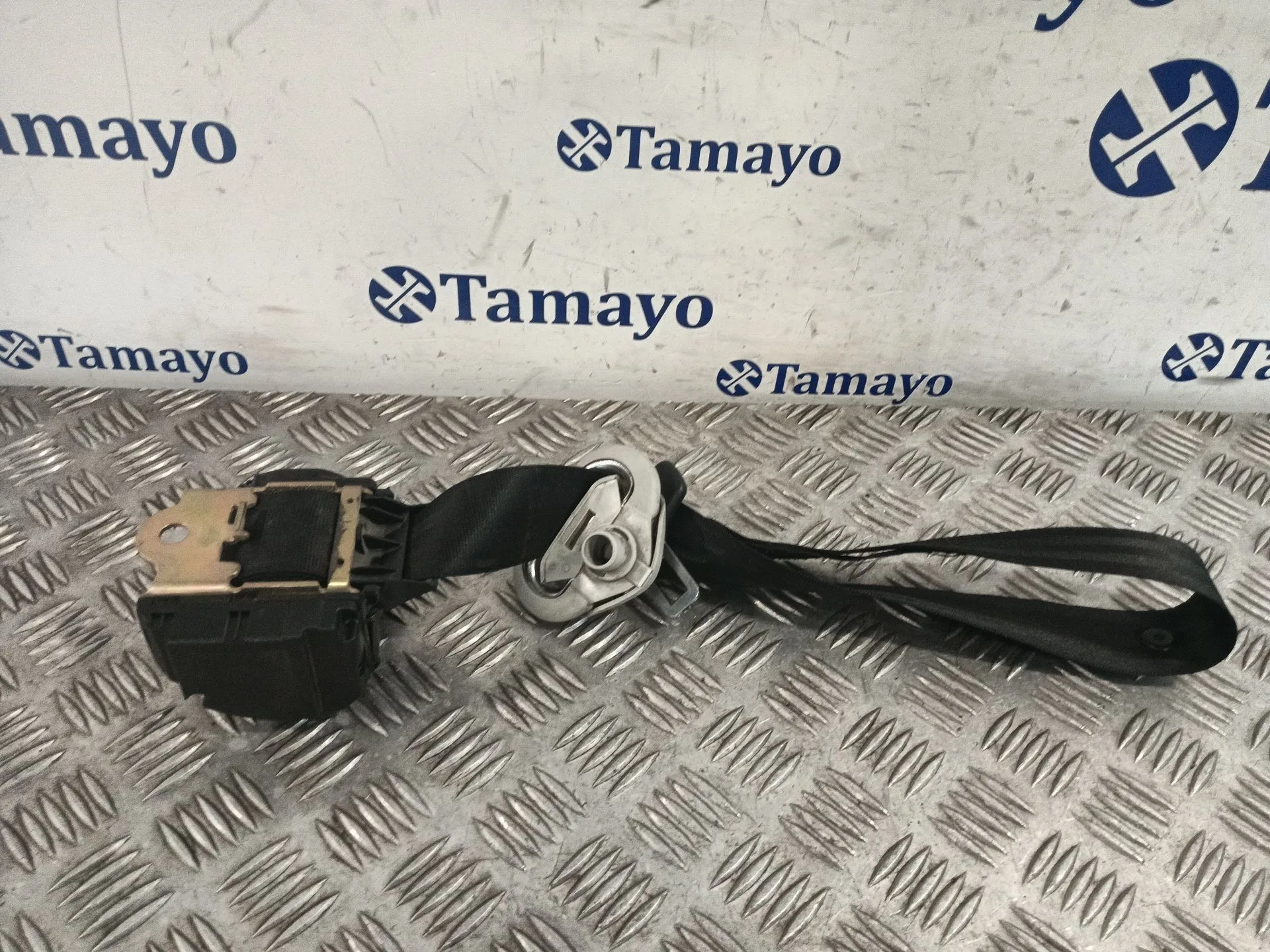 Cinturon Seguridad Trasero Derecho para Volkswagen Golf Iv (1J1)