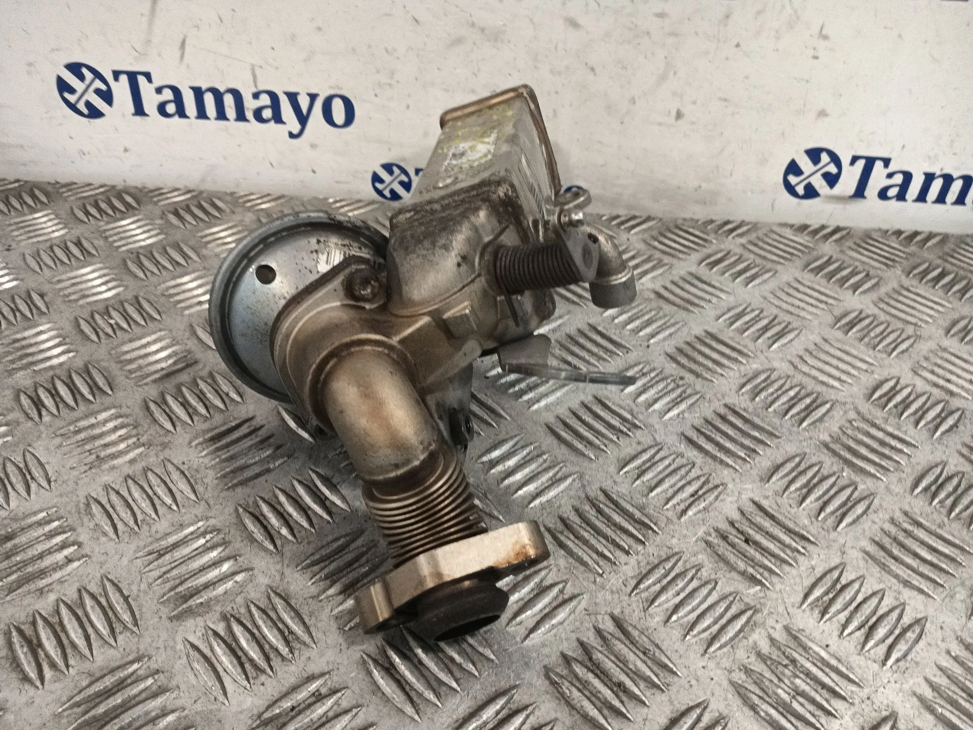 Enfriador Egr para Bmw 1 (E81)