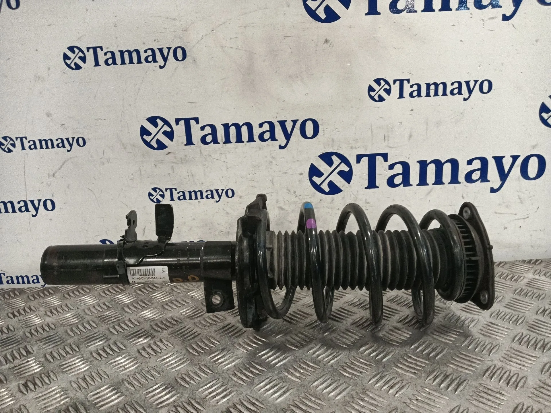 Amortiguador Delantero Derecho para Ford Transit Connect V408 Furgoneta/Monovolumen