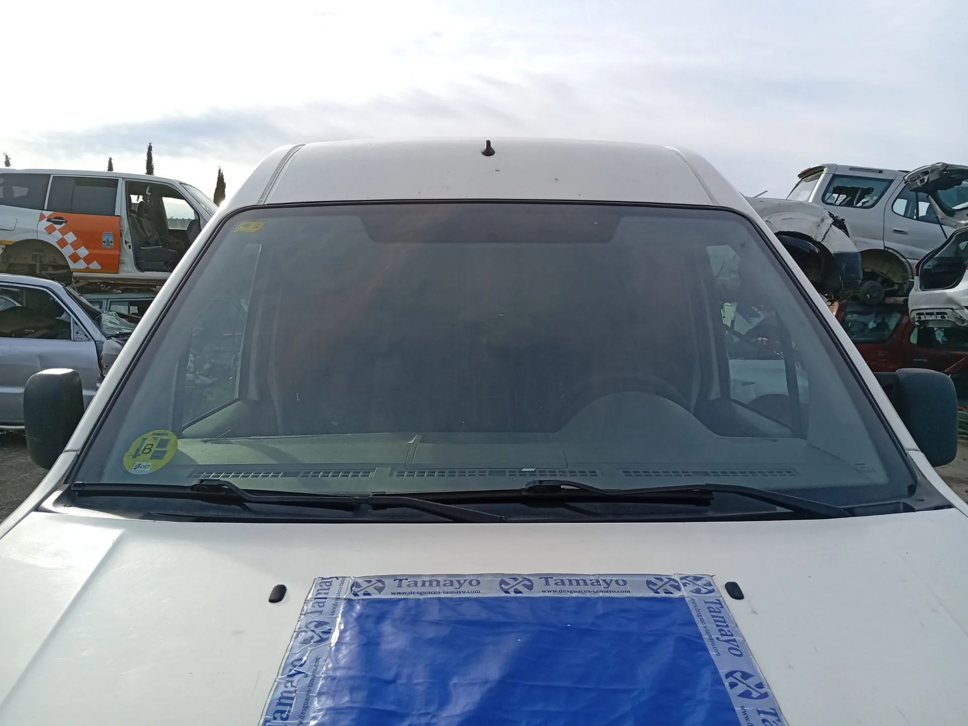 Parabrisas para Ford Transit Connect (P65_, P70_, P80_)
