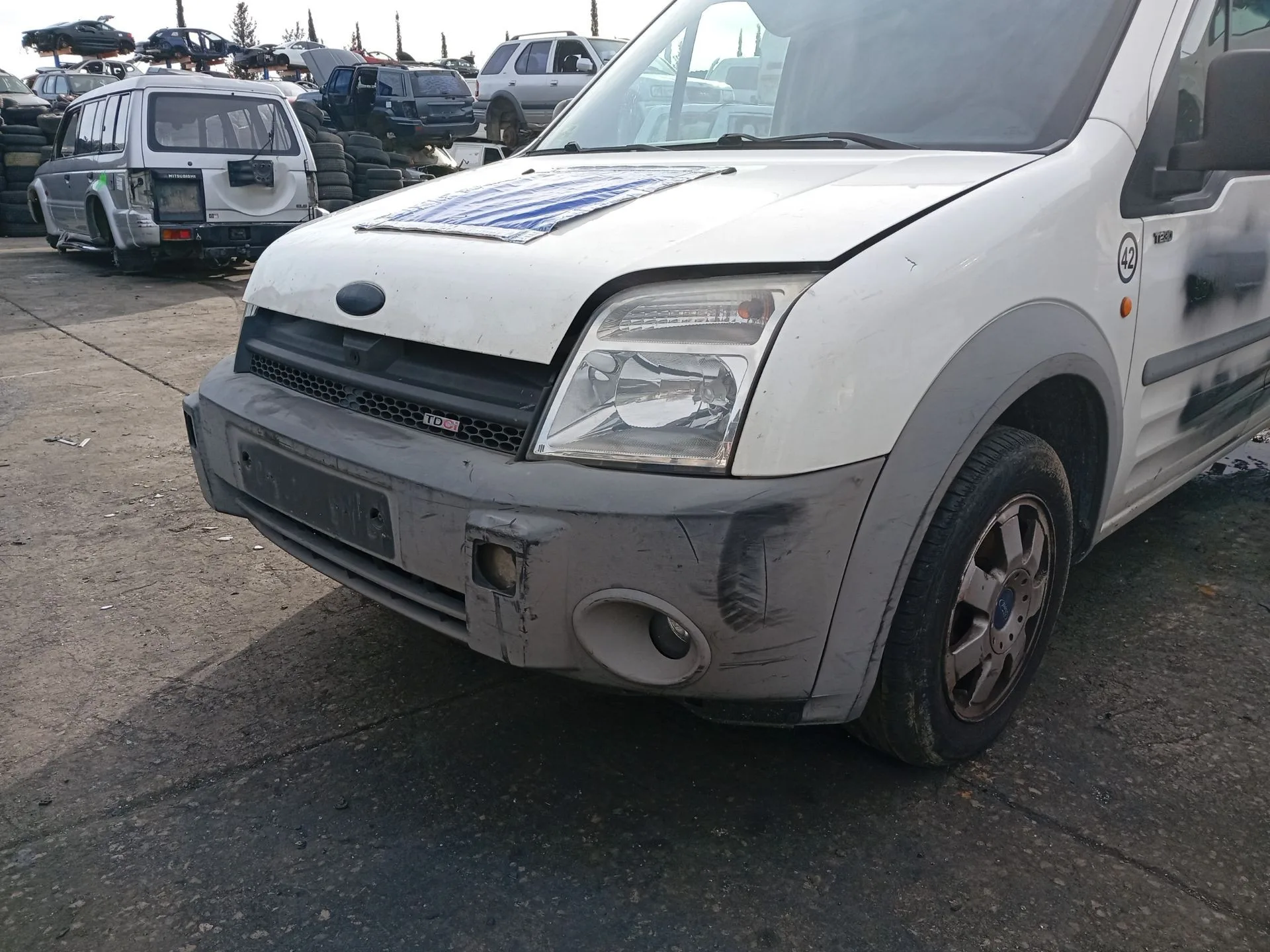 Paragolpes Delantero para Ford Transit Connect (P65_, P70_, P80_)