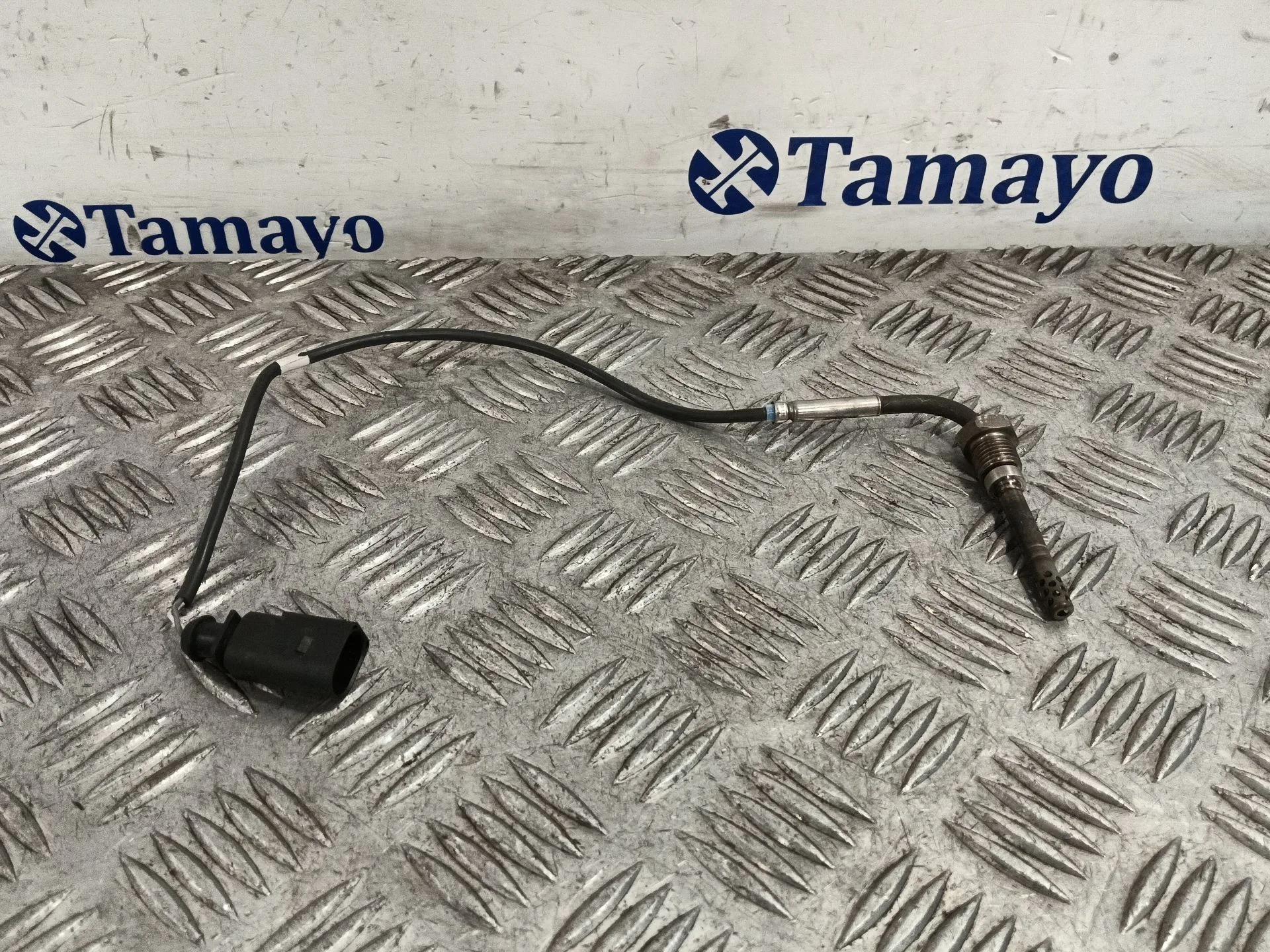 Sensor para Seat Exeo (3R2)