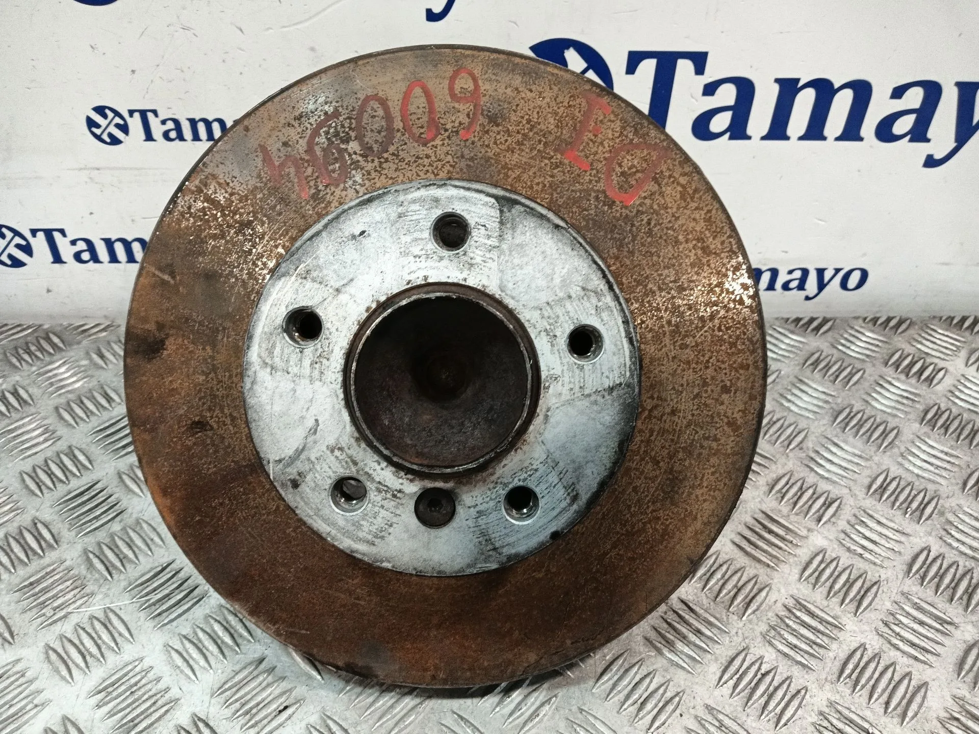 Mangueta Delantera Izquierda para Bmw 3 (E90)