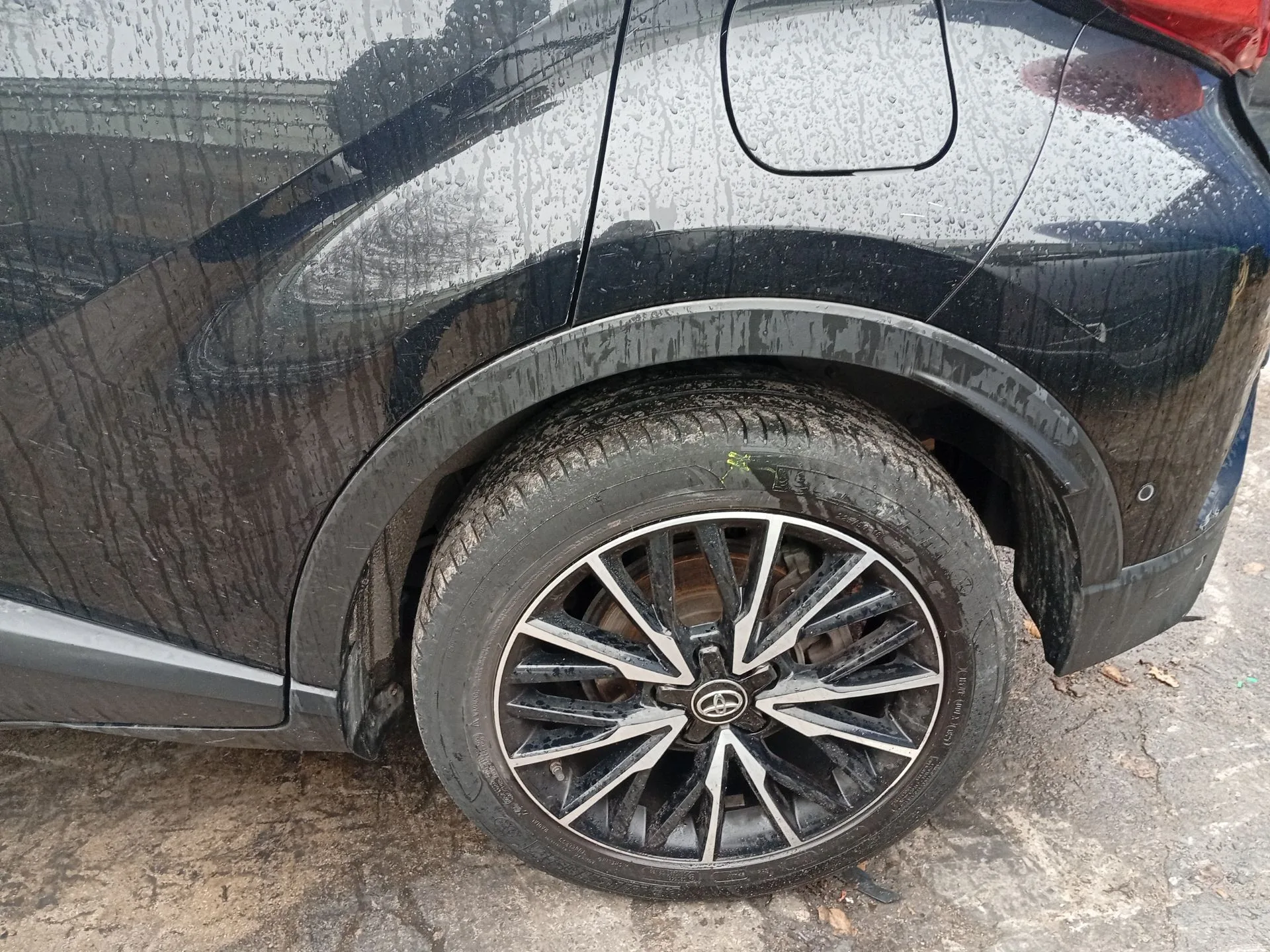 Aletin Trasero Izquierdo para Toyota C-Hr (_X1_)