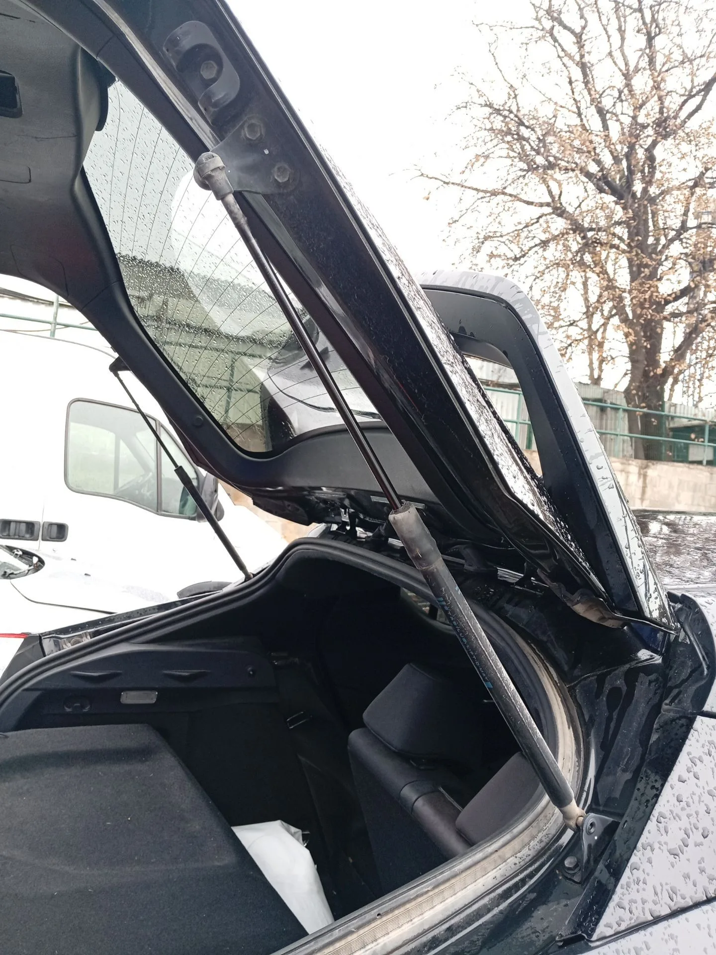 Amortiguadores Maletero / Porton para Toyota C-Hr (_X1_)