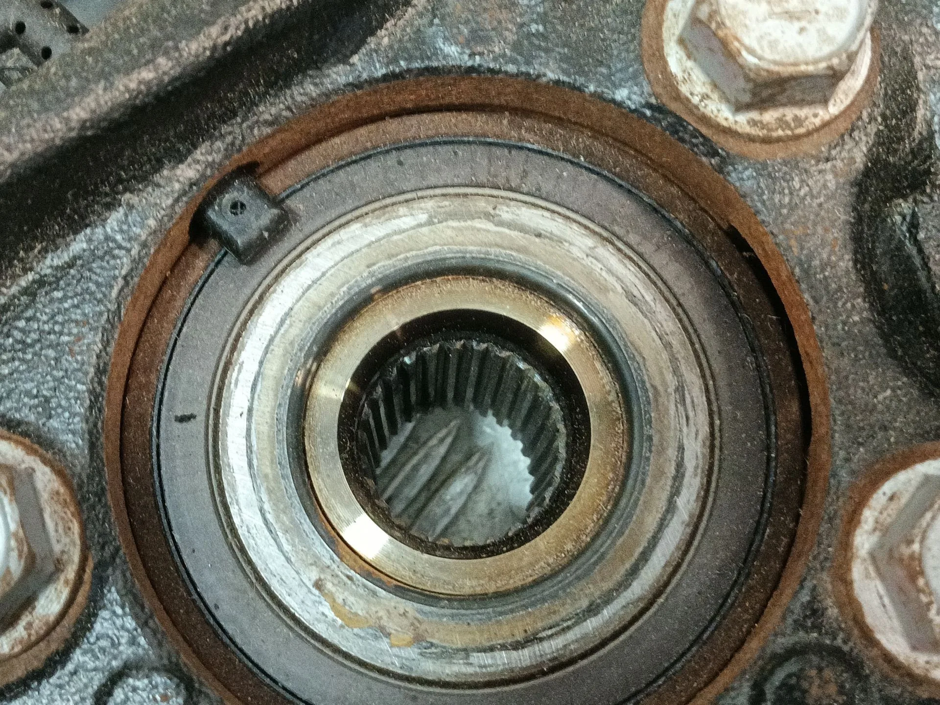 Mangueta Delantera Izquierda para Toyota C-Hr (_X1_)