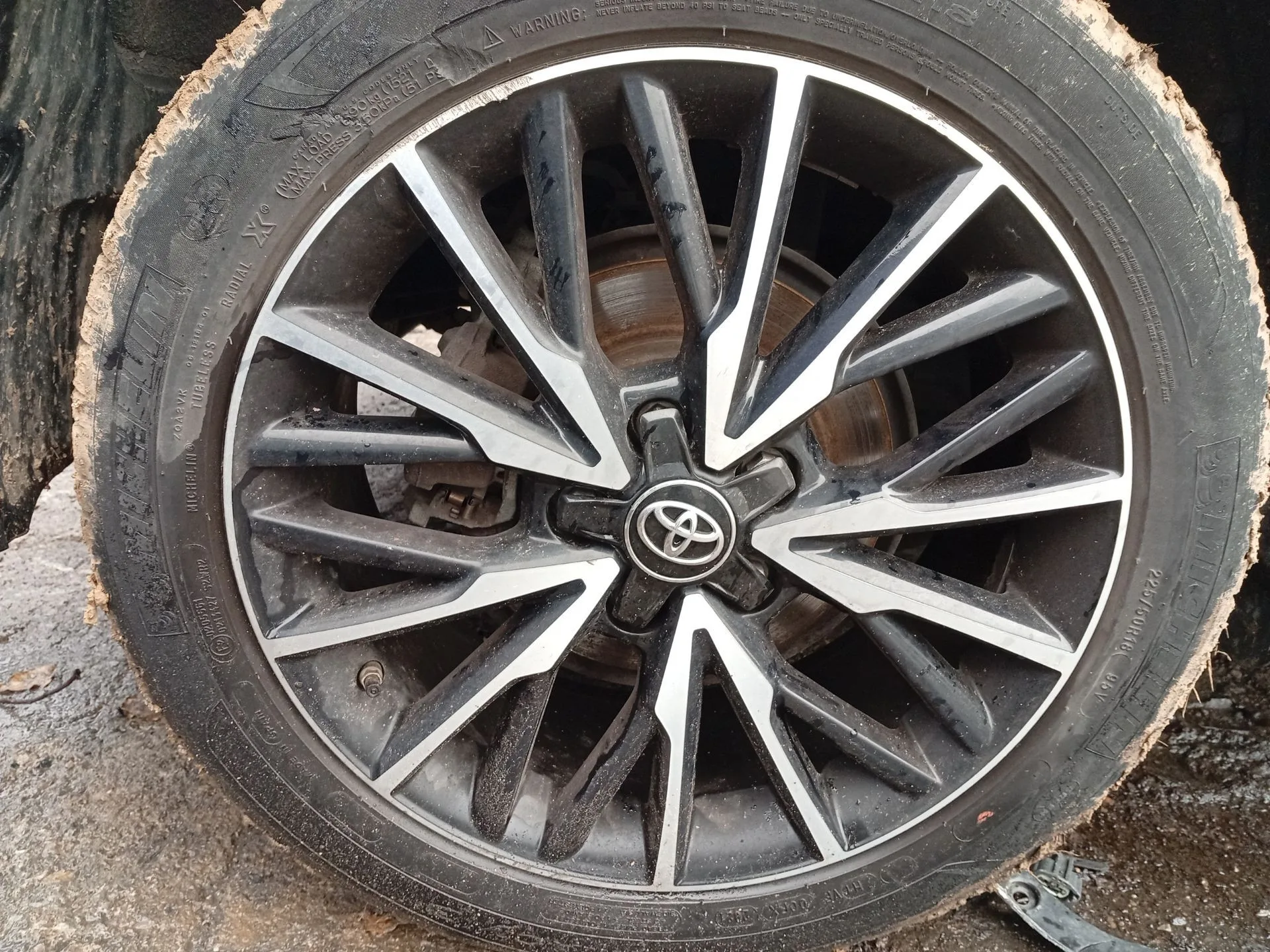 Pinza Freno Trasera Derecha para Toyota C-Hr (_X1_)