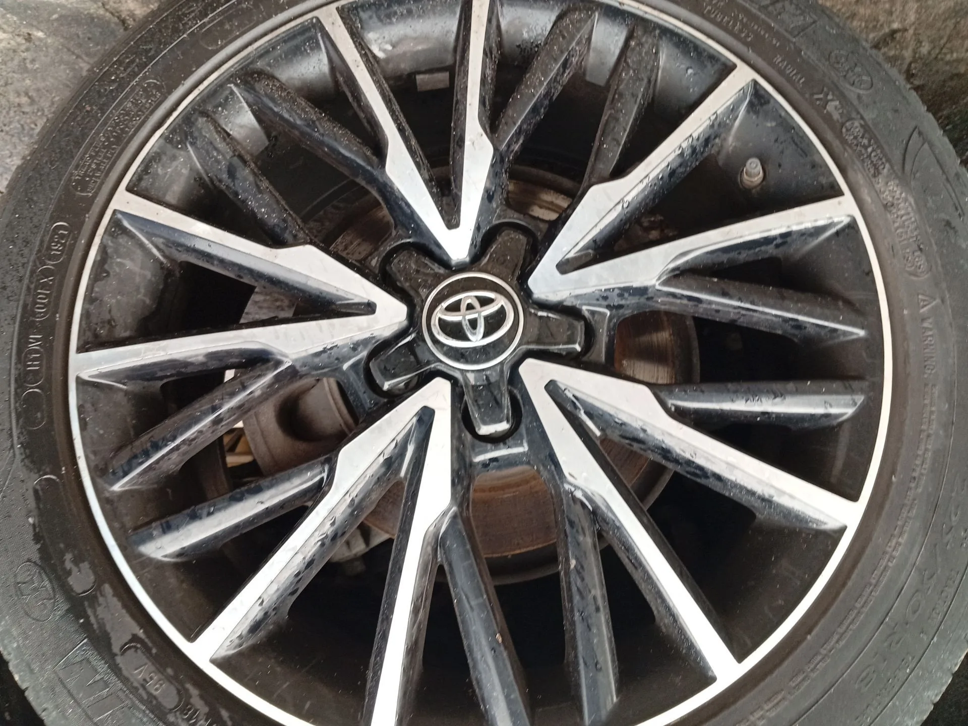 Pinza Freno Trasera Izquierda para Toyota C-Hr (_X1_)