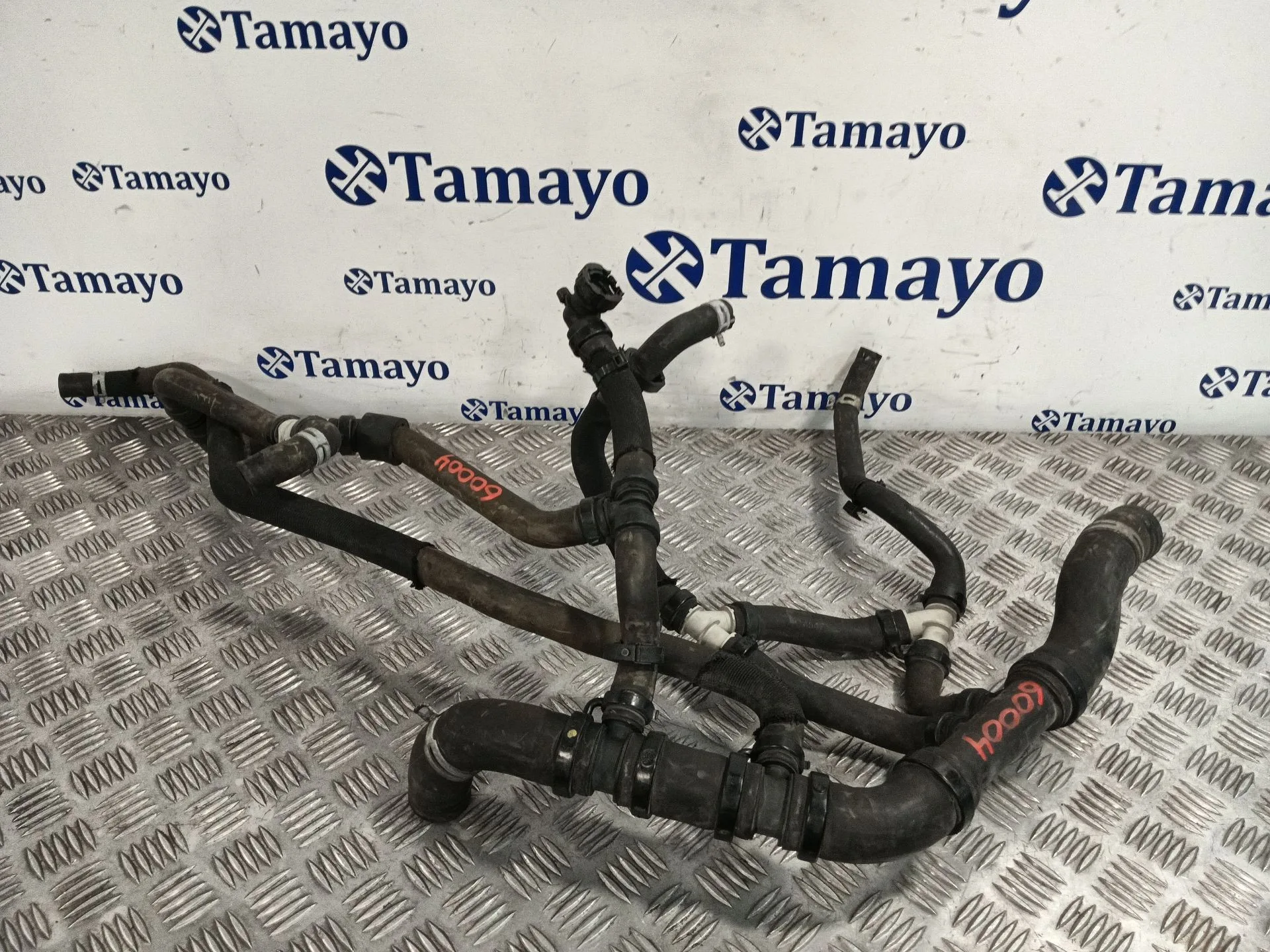 Manguera para Renault Master Iii Caja/Chasis (Ev, Hv, Uv)