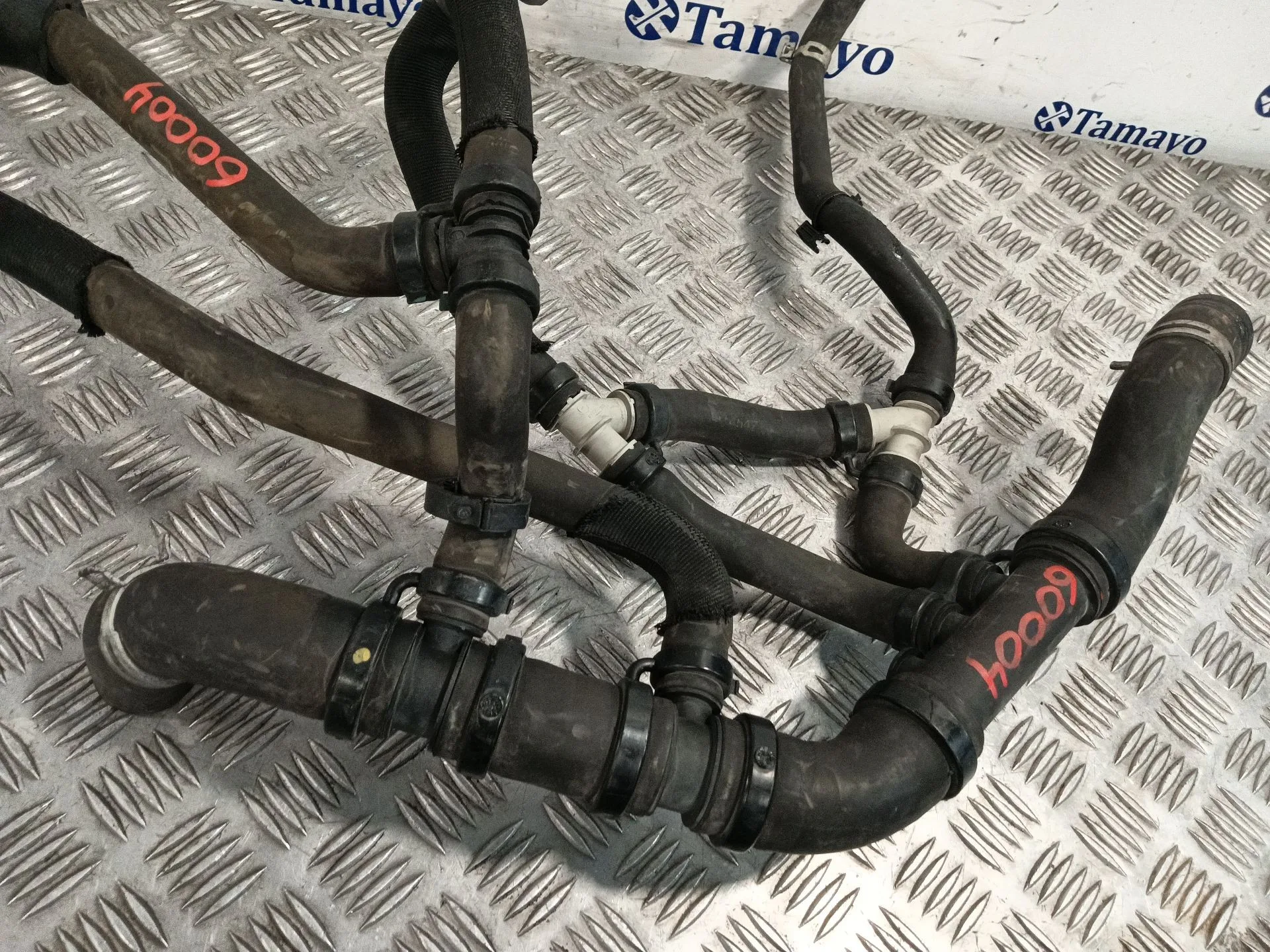 Manguera para Renault Master Iii Caja/Chasis (Ev, Hv, Uv)