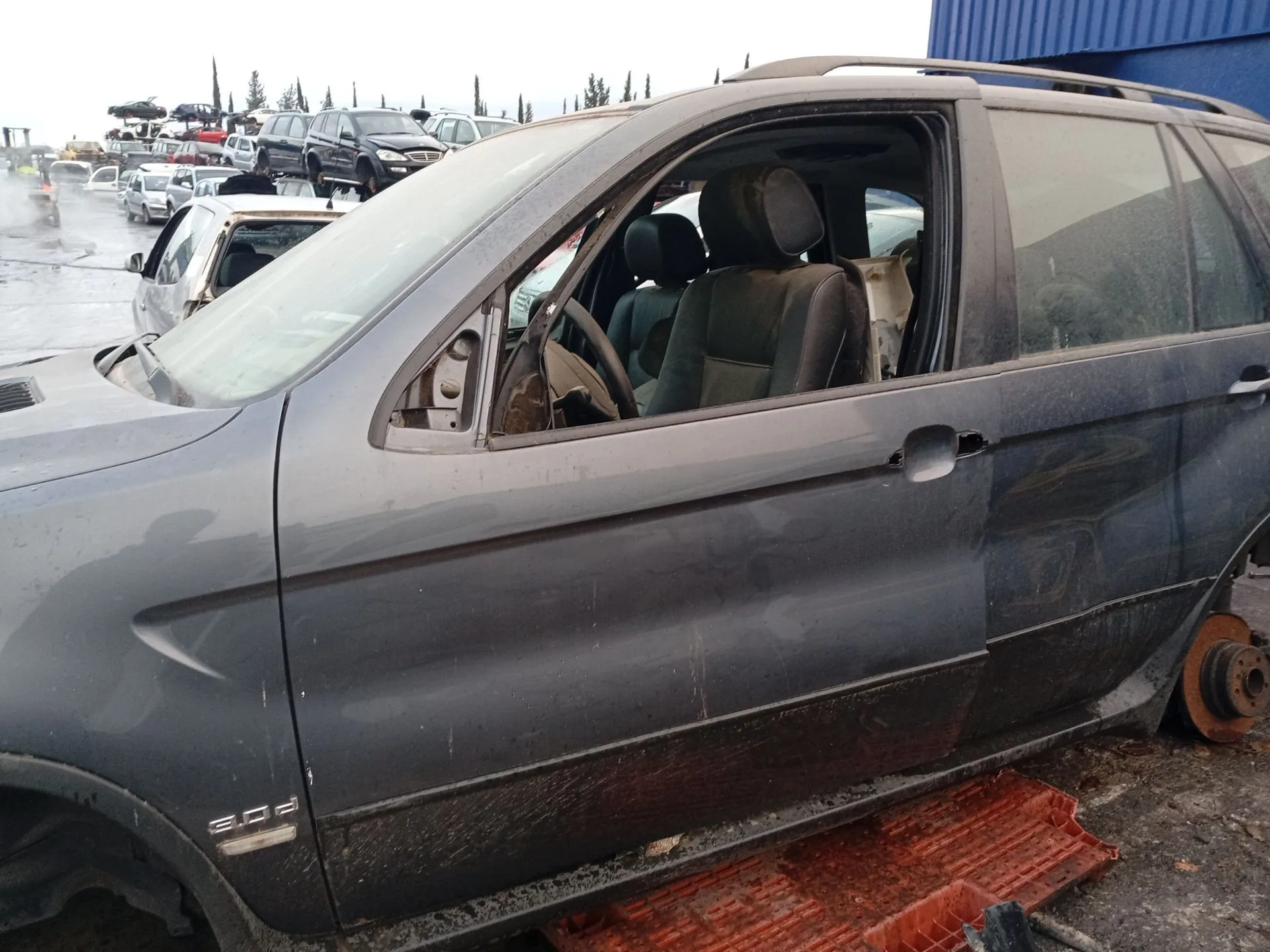 Puerta Delantera Izquierda para Bmw X5 (E53)