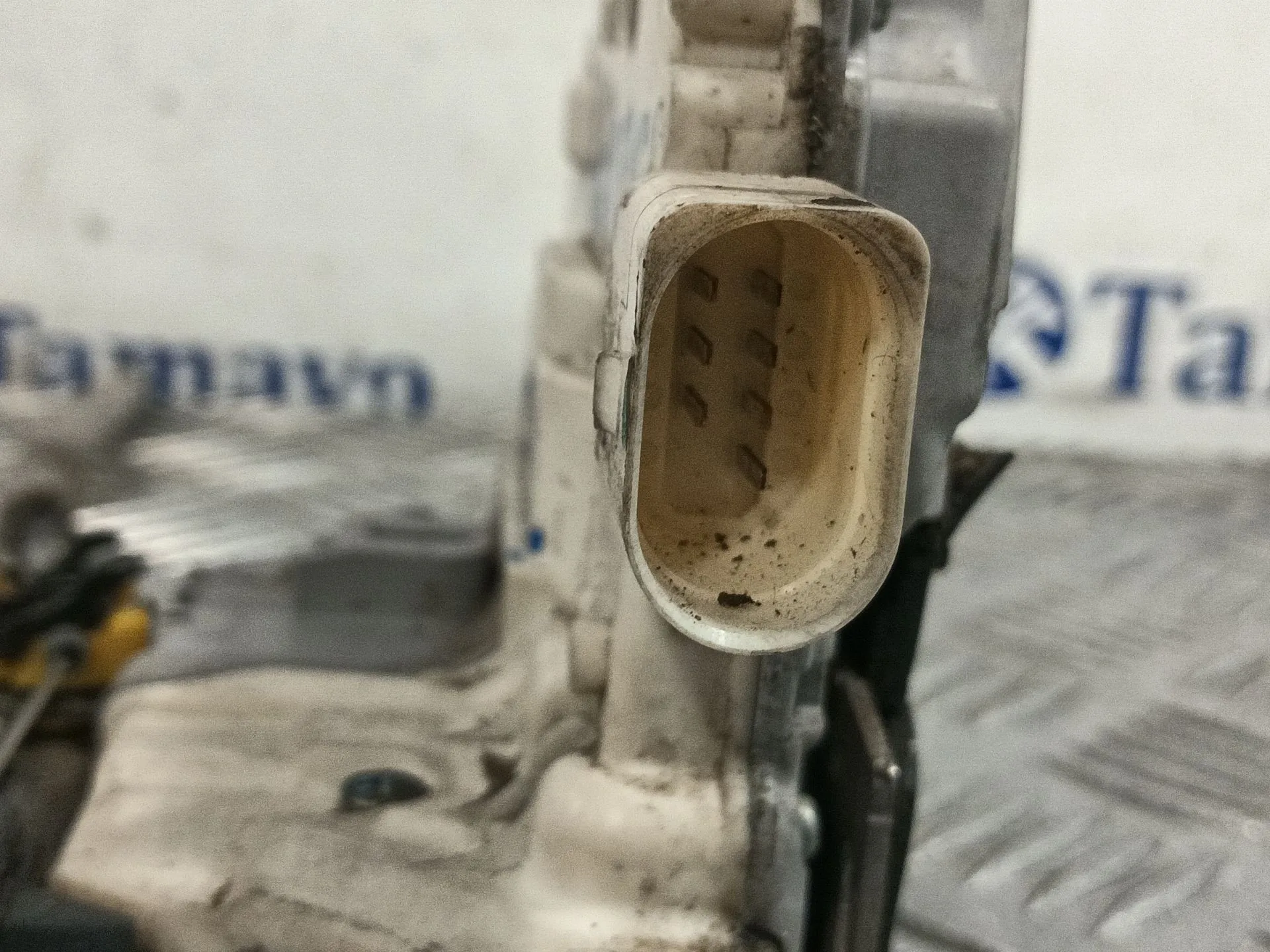 Cerradura Puerta Trasera Derecha para Seat Leon (1P1)