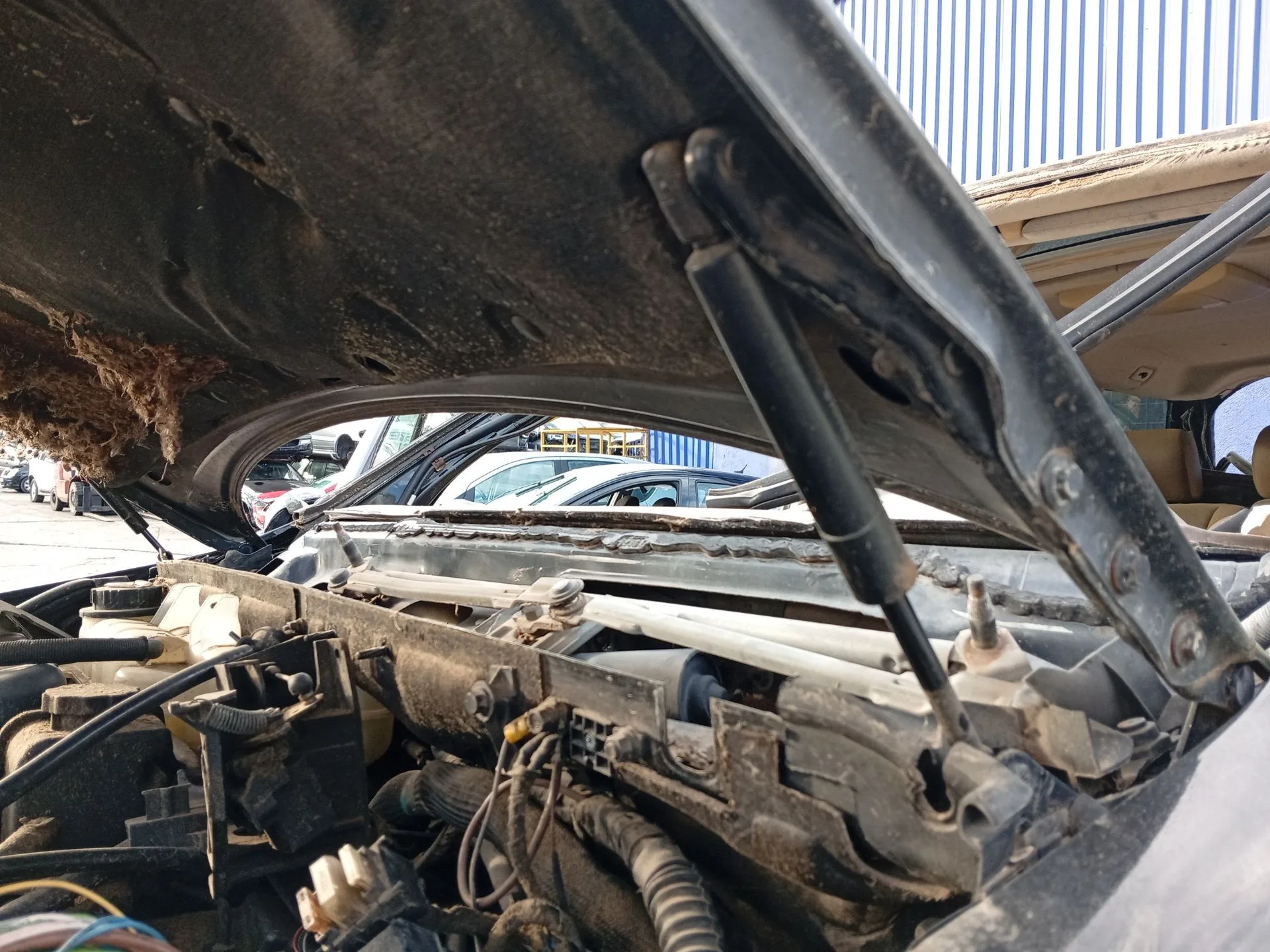 Amortiguadores Capo para Mercedes-Benz Clase M (W163)