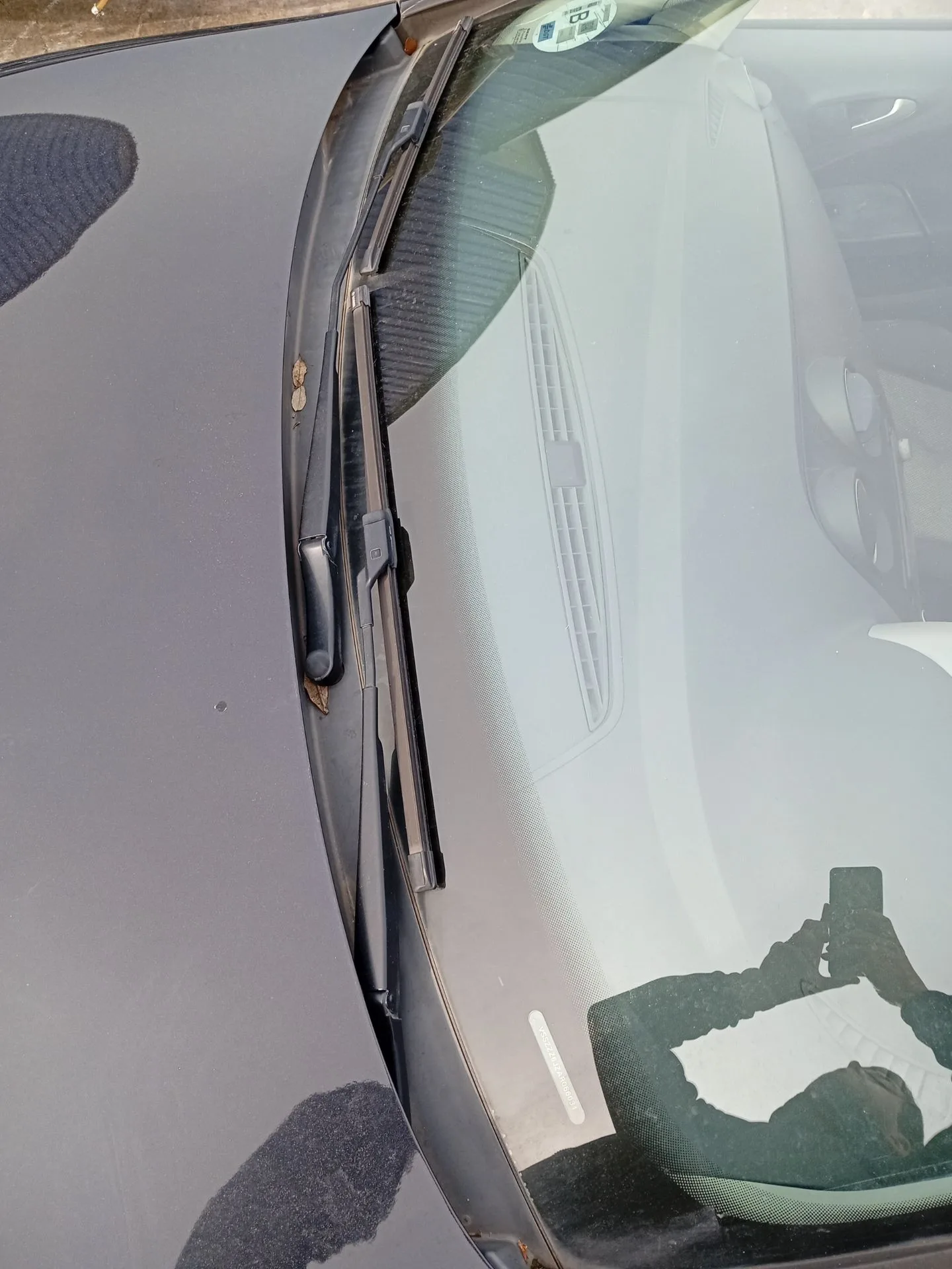 Torpedo para Seat Ibiza Iv (6J5, 6P1)