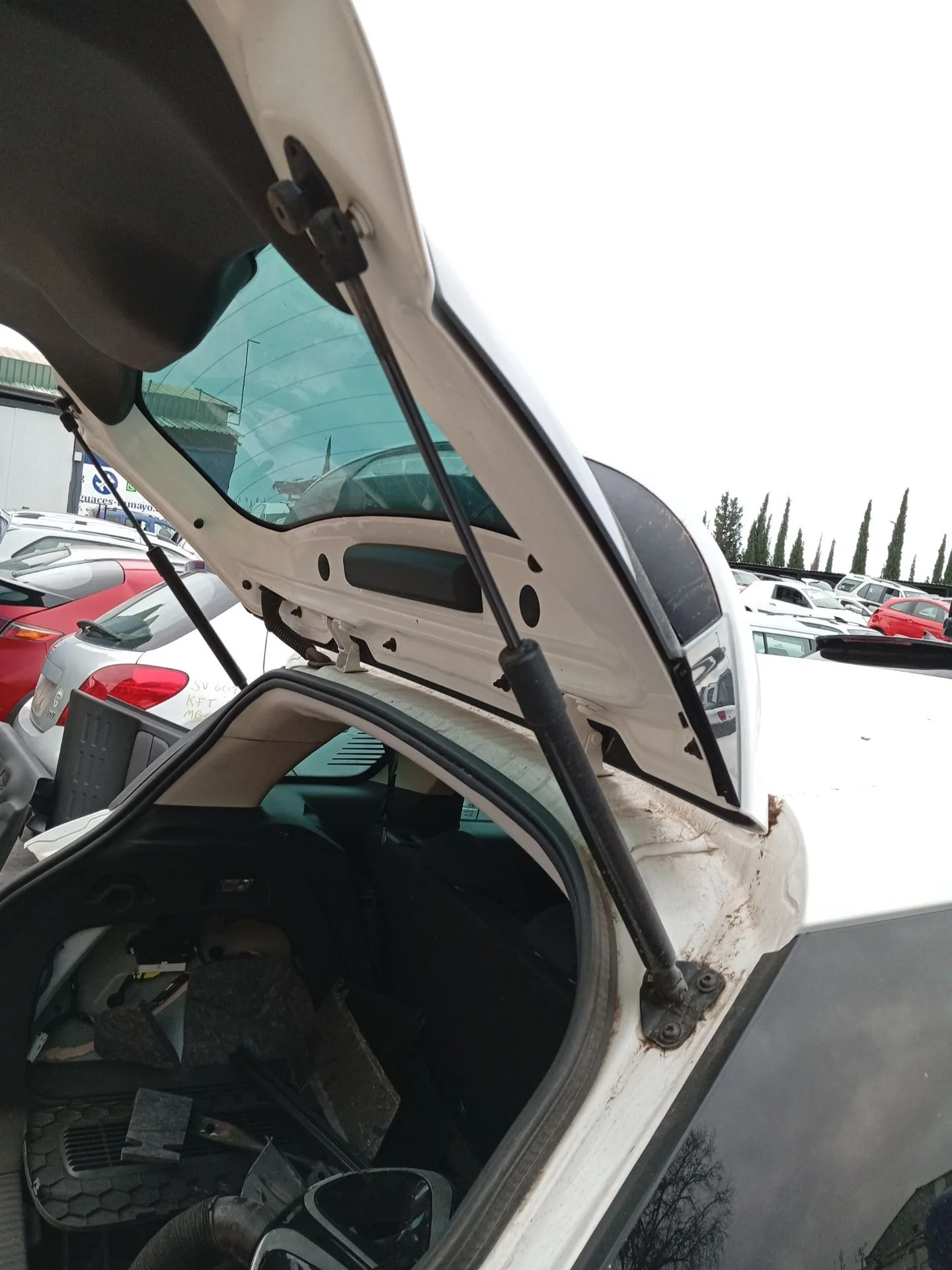 Amortiguadores Maletero / Porton para Citroën C3 Aircross I (2R_, 2C_)