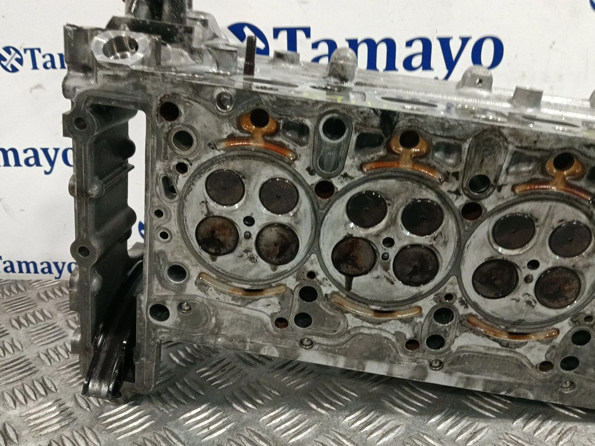 Culata para Mercedes-Benz Sprinter 5-T Caja/Chasis (B906)