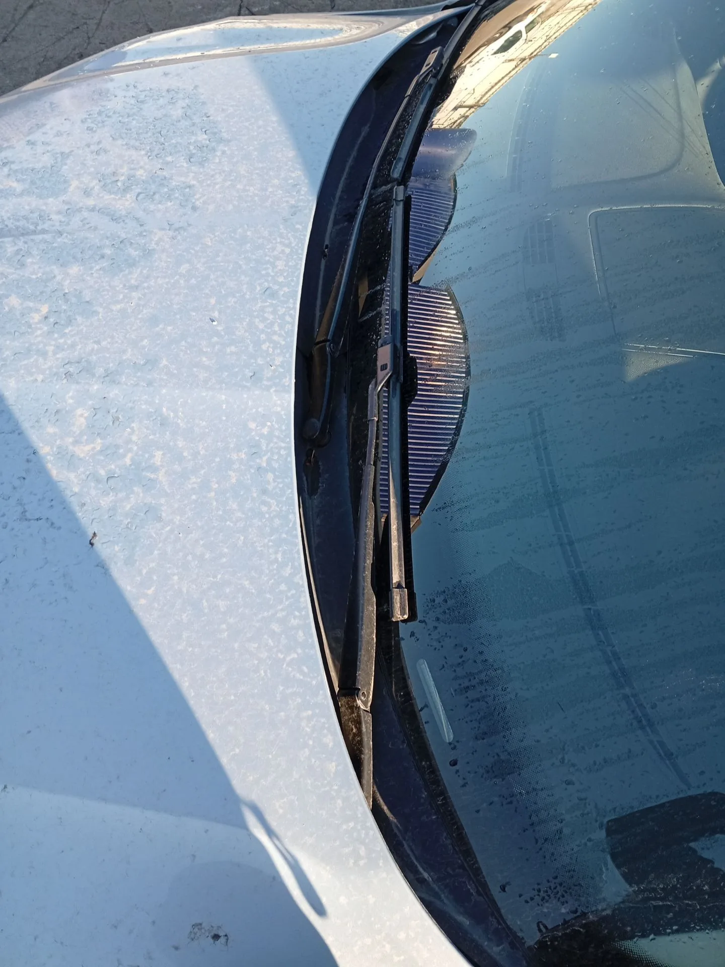 Torpedo para Skoda Yeti (5L)