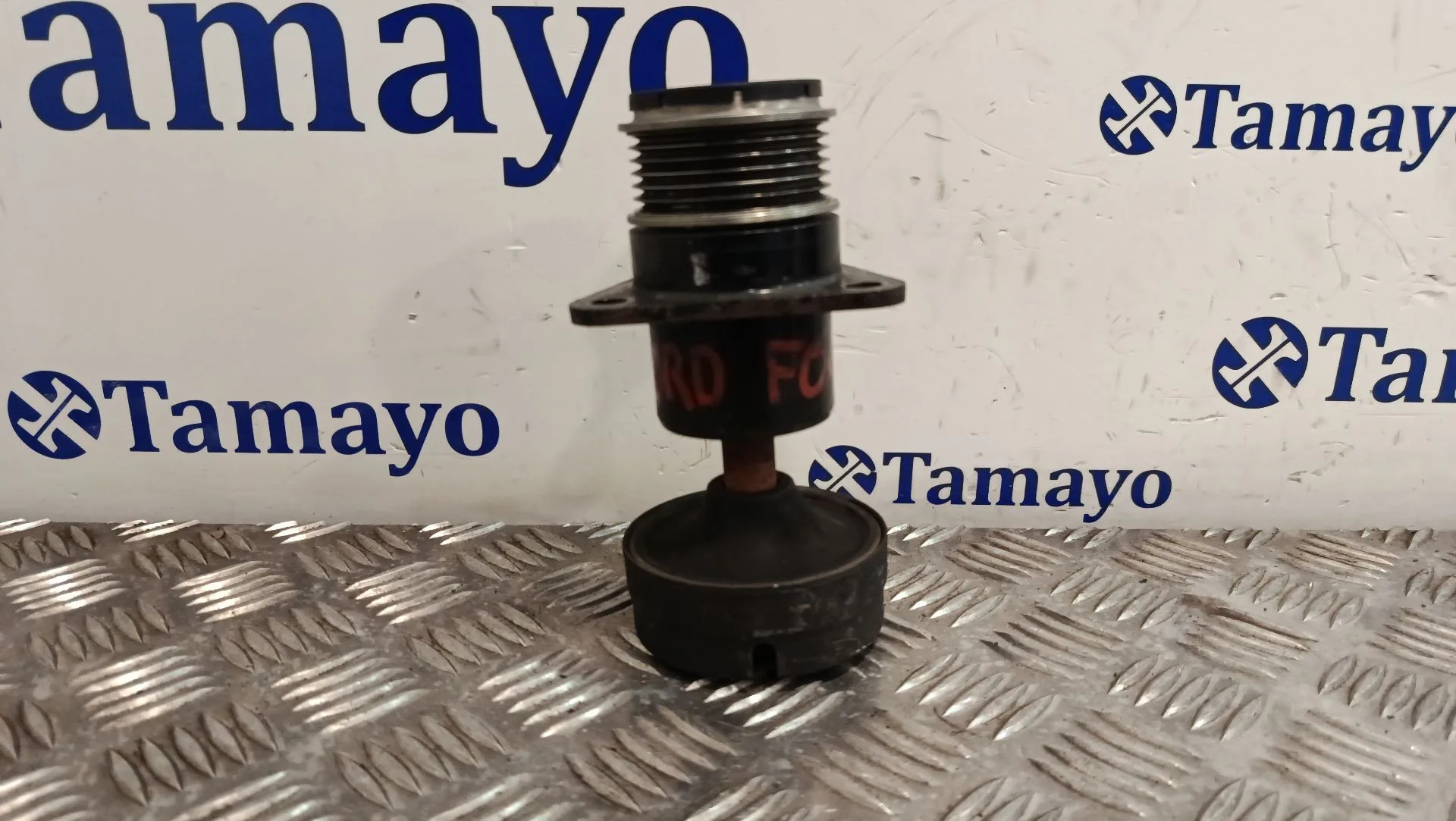 Polea Alternador para Ford Focus C-Max (Dm2)