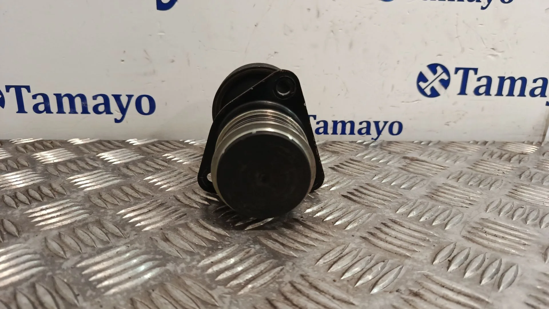 Polea Alternador para Ford Focus C-Max (Dm2)