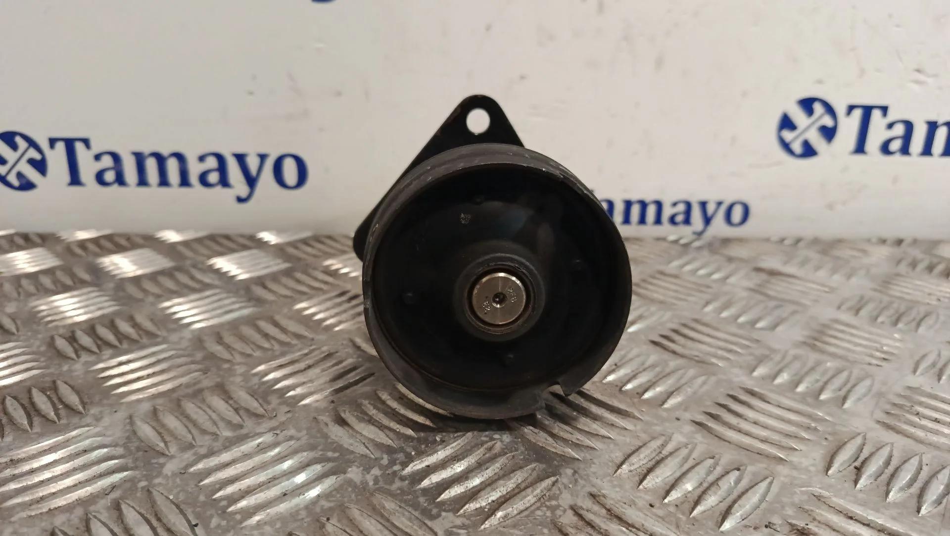 Polea Alternador para Ford Focus C-Max (Dm2)