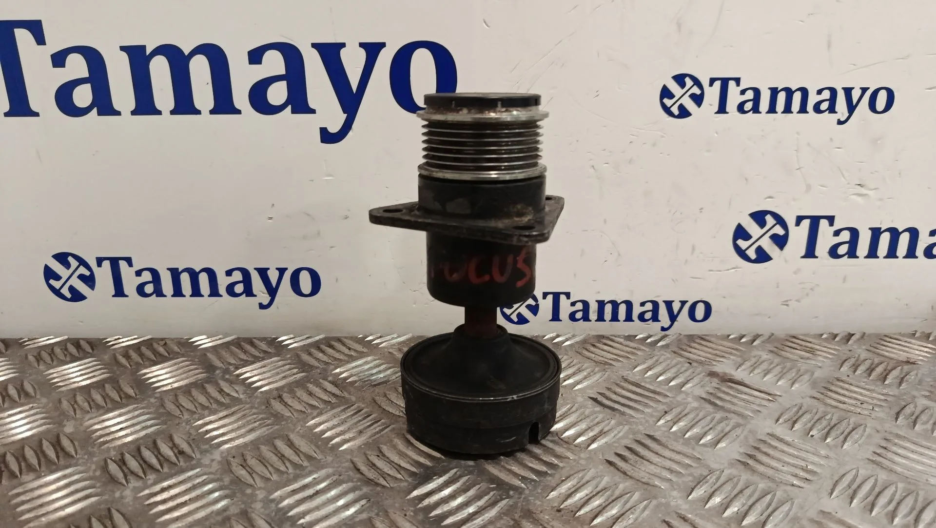 Polea Alternador para Ford Focus Berlina (Cak)