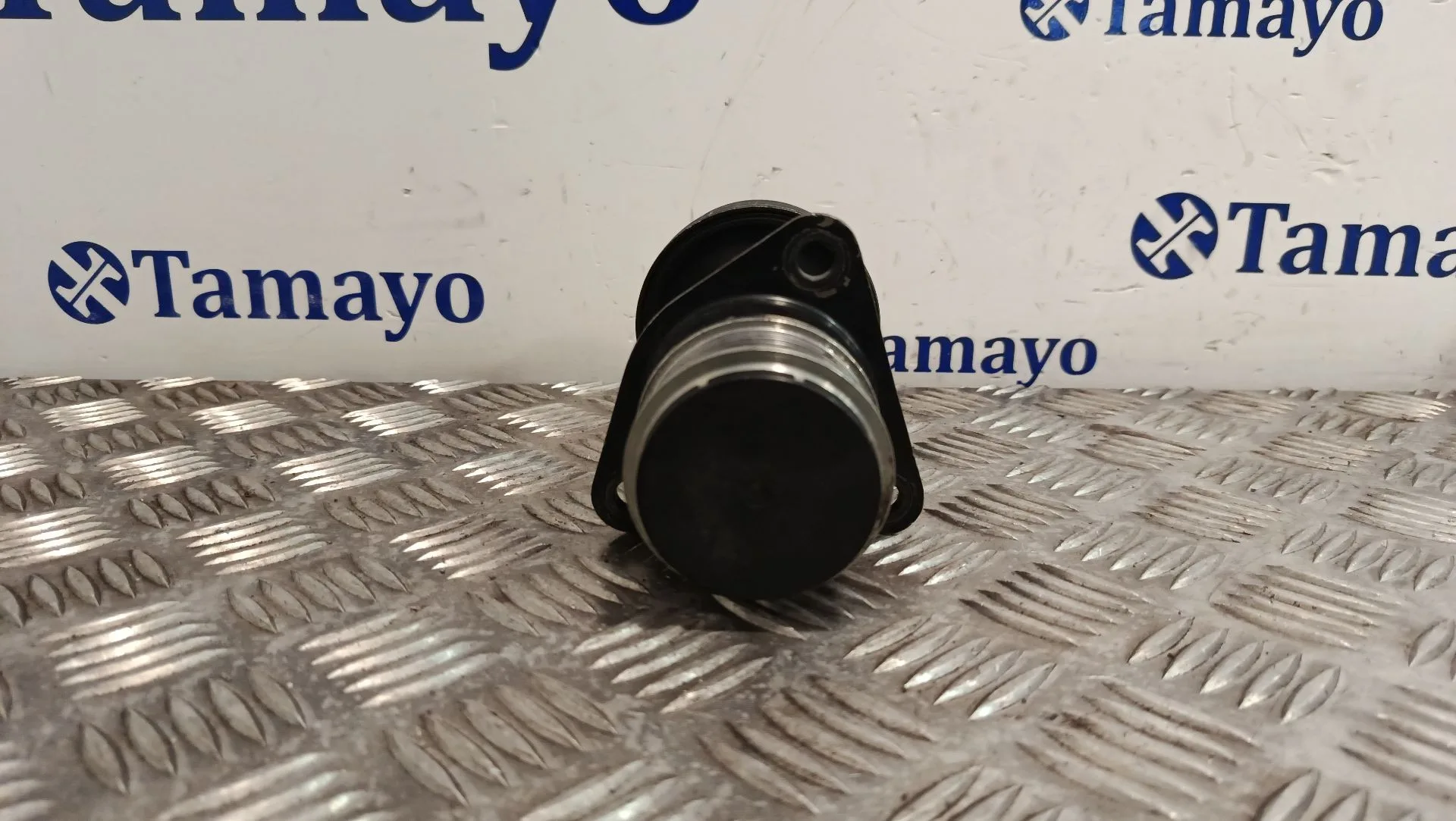 Polea Alternador para Ford Focus Berlina (Cak)