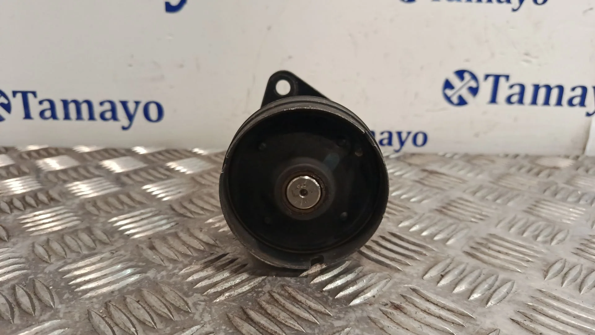 Polea Alternador para Ford Focus Berlina (Cak)