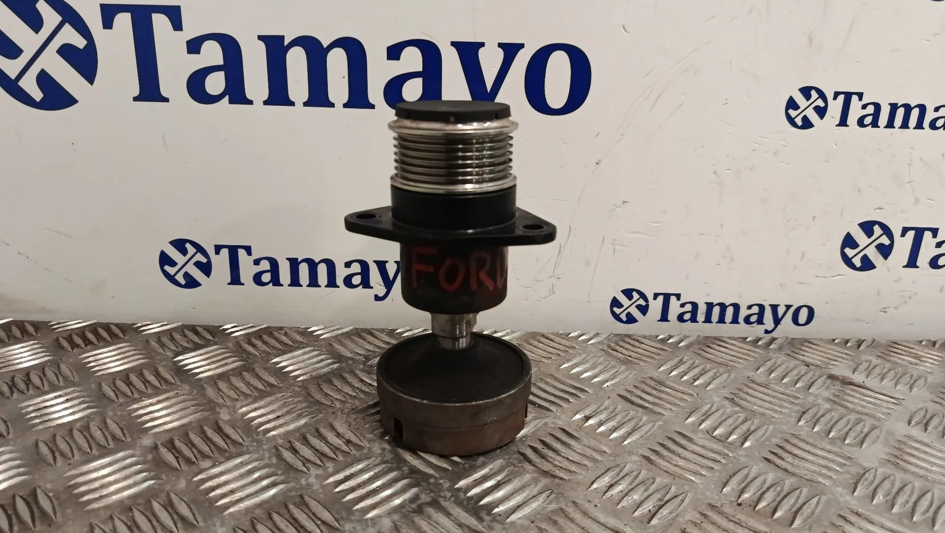 Polea Alternador para Ford Focus C-Max (Dm2)